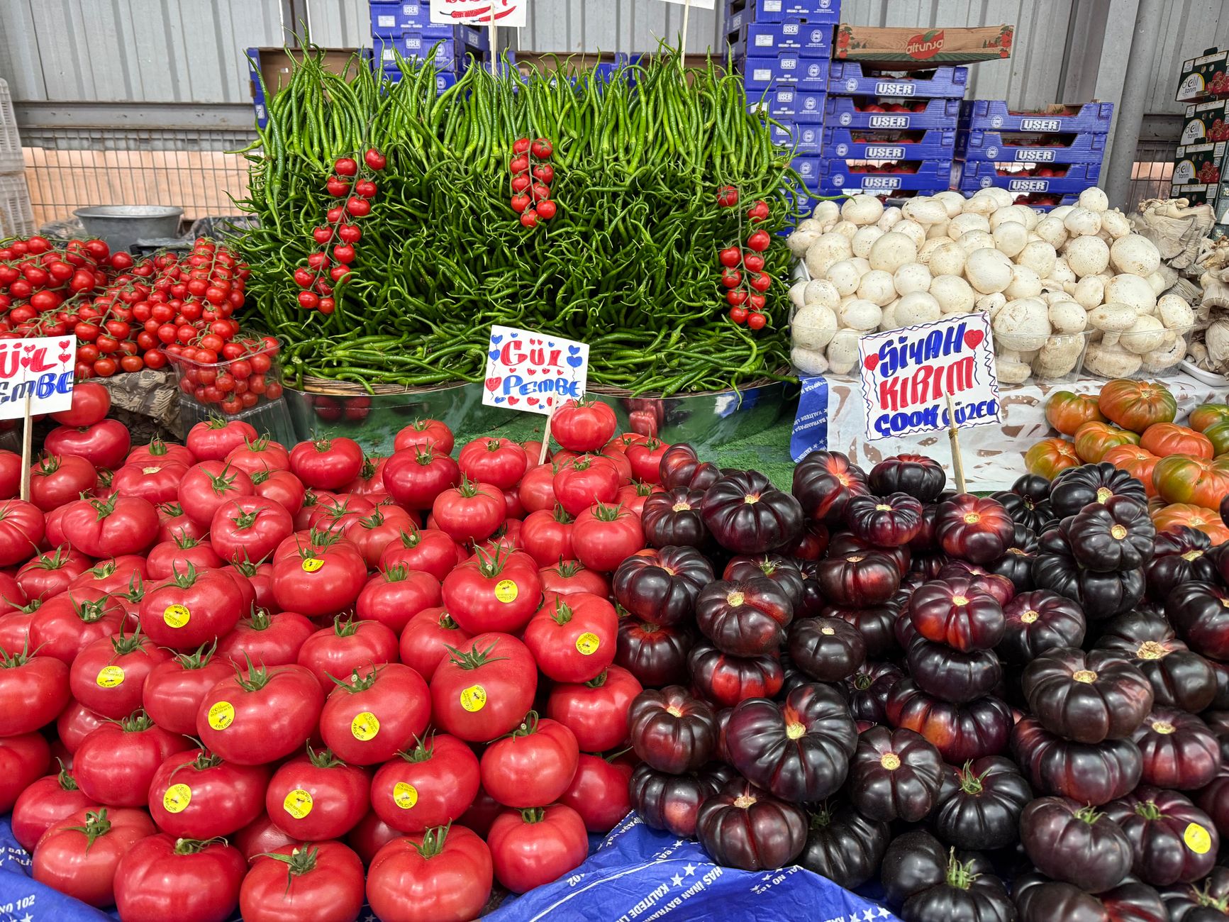Colorful display of fresh tomatoes, green peppers, and mushrooms in an Aegean village market.