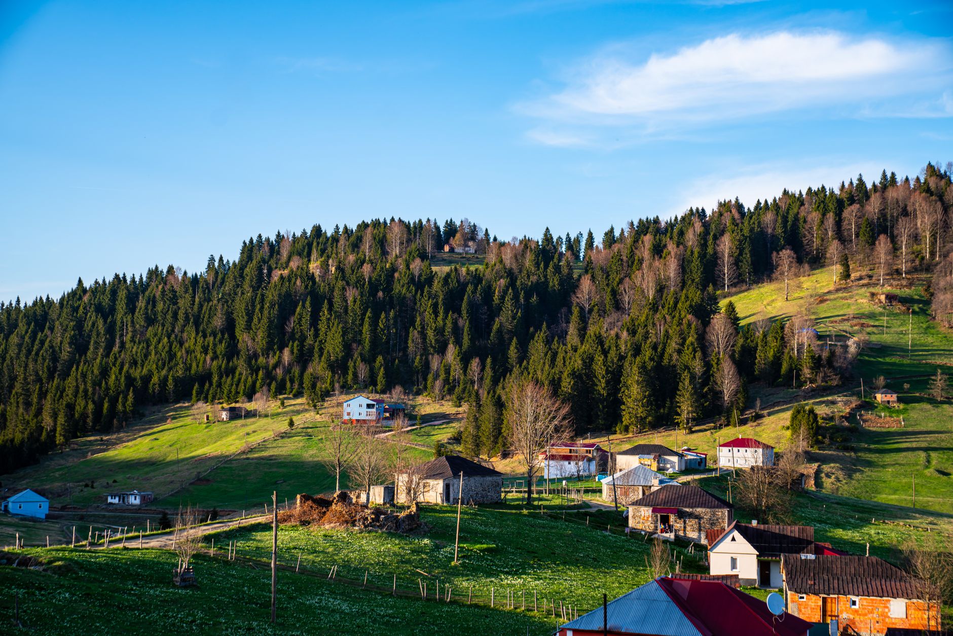 Charming traditional yayla village houses with stone walls and wooden balconies, surrounded by lush green mountains.