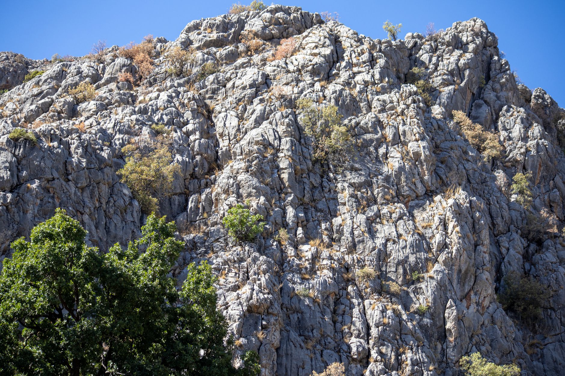 A climber scales a limestone face in Aladağlar, with a guide belaying and scenic mountains in the background.