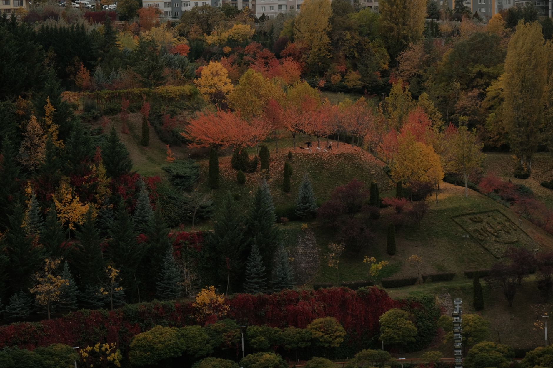 A family enjoys the vibrant autumn foliage in a park in Ankara, surrounded by colorful trees and greenery.