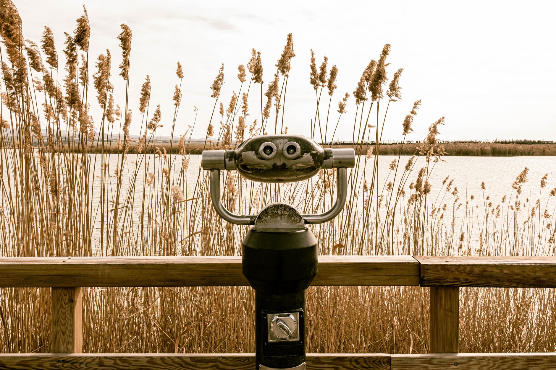 A viewfinder in front of tall grass by the Kızılırmak Delta, overlooking the water.