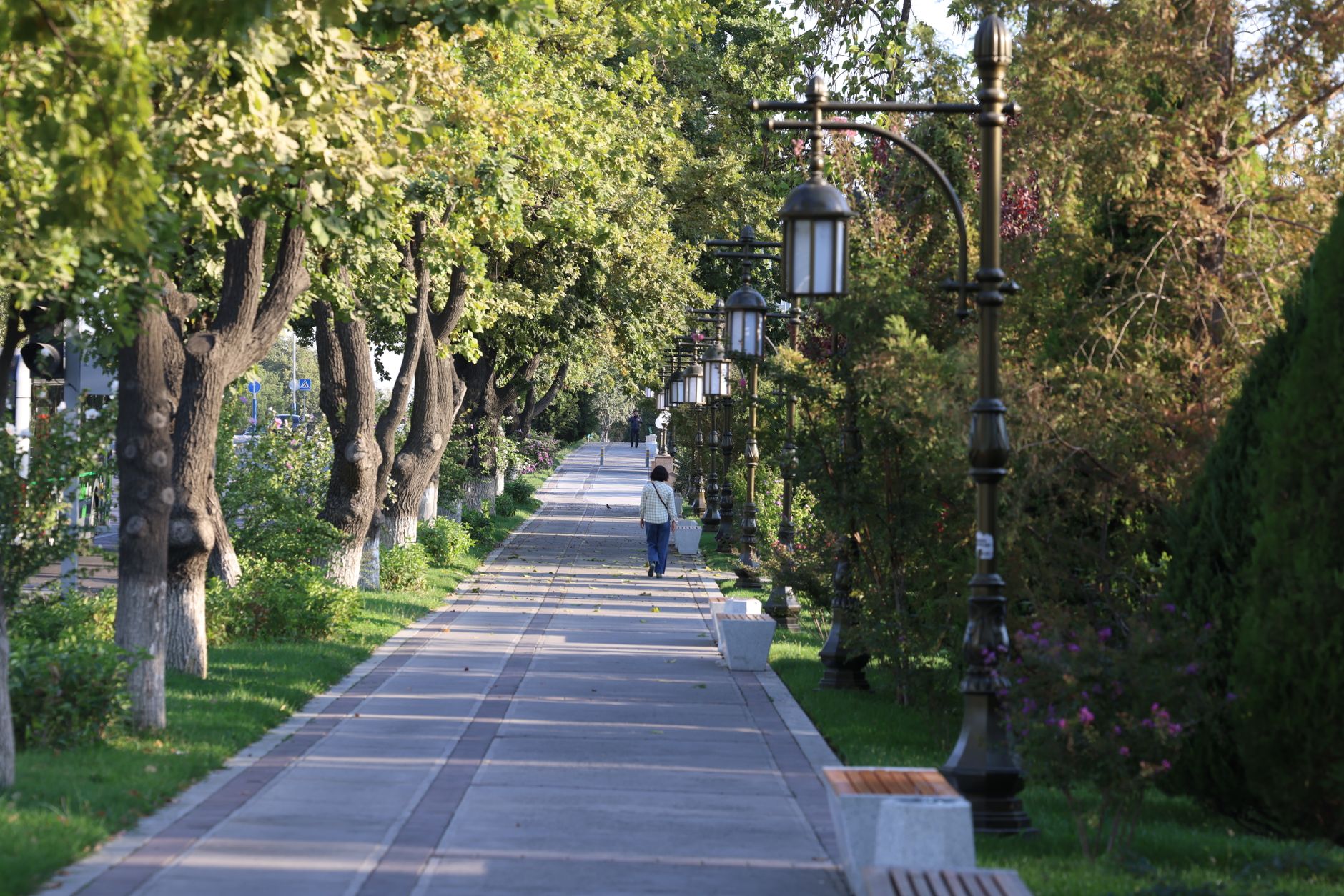 Busy pathway in Kültürpark with trees and street lamps, showing people walking peacefully.