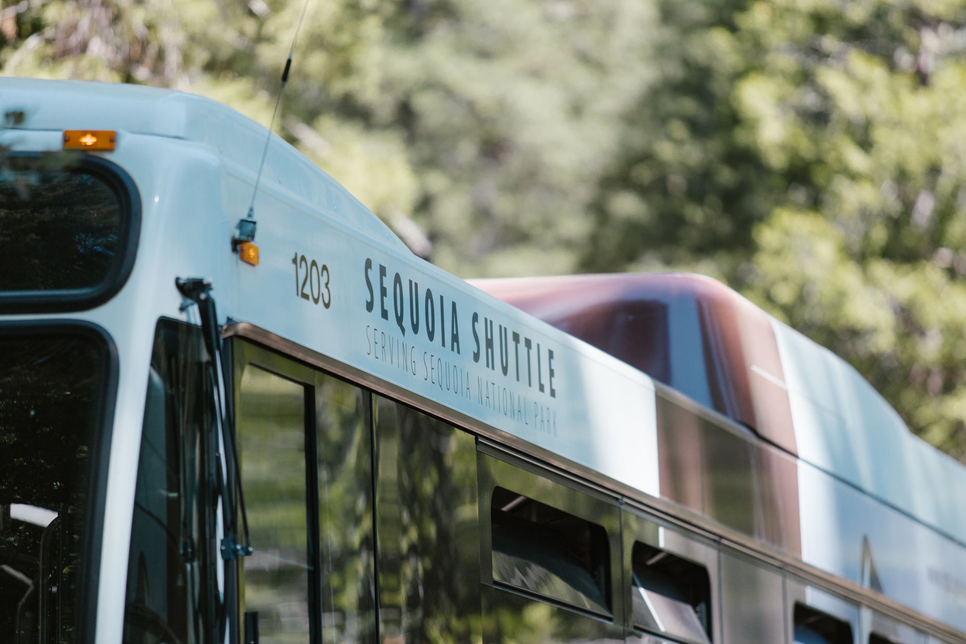 Close-up of Sequoia Shuttle bus serving Sequoia National Park with greenery in the background.