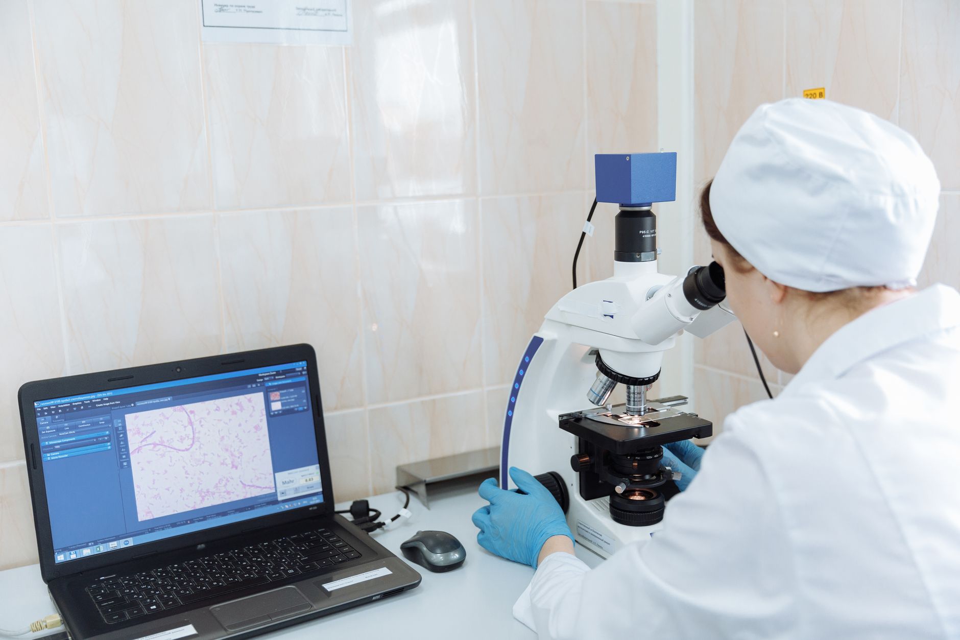 A technician examines stem cell samples under a microscope in a lab.