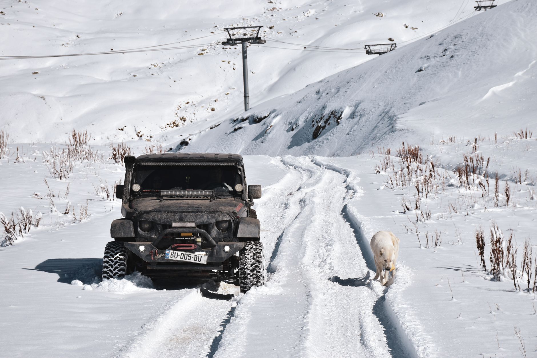A dirty off-road vehicle navigating a snowy path with a goat beside it.