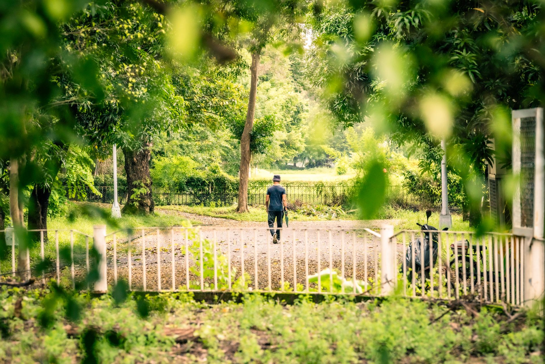 A person walks peacefully through a tranquil park, surrounded by lush greenery, symbolizing recovery and relaxation.