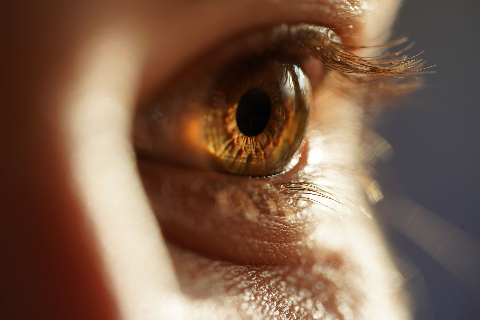 Macro shot of a human eye highlighting a premium intraocular lens option.