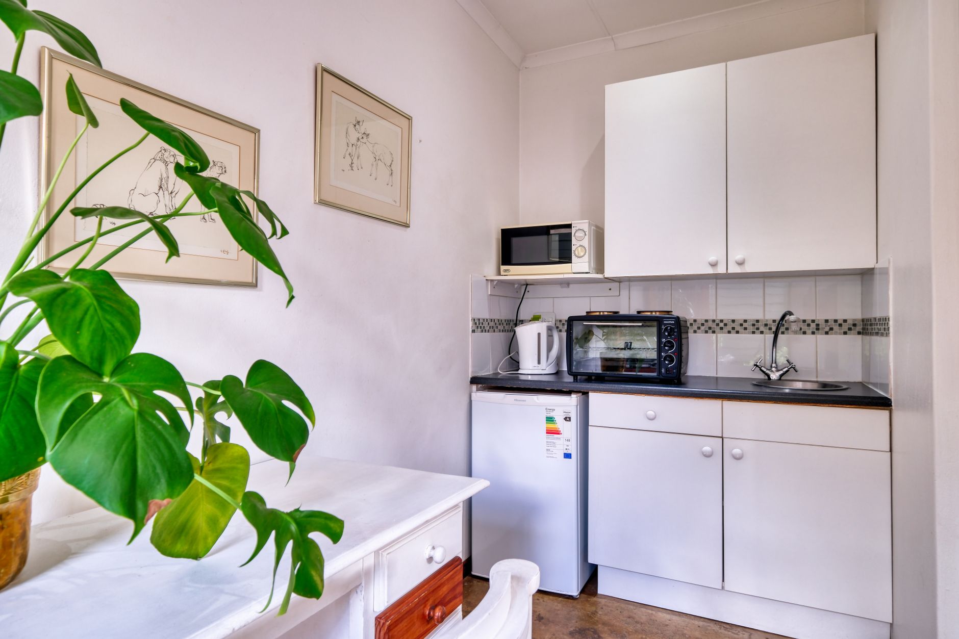 Small kitchenette featuring a microwave, kettle, and fridge with artwork and plants.