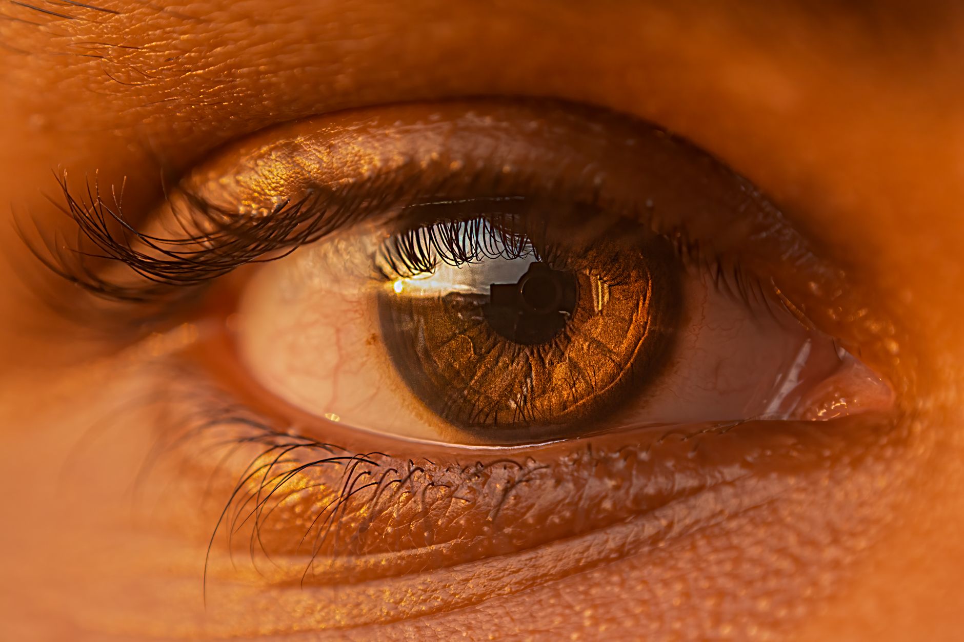 Detailed close-up of a brown eye showcasing eyelashes and reflection.