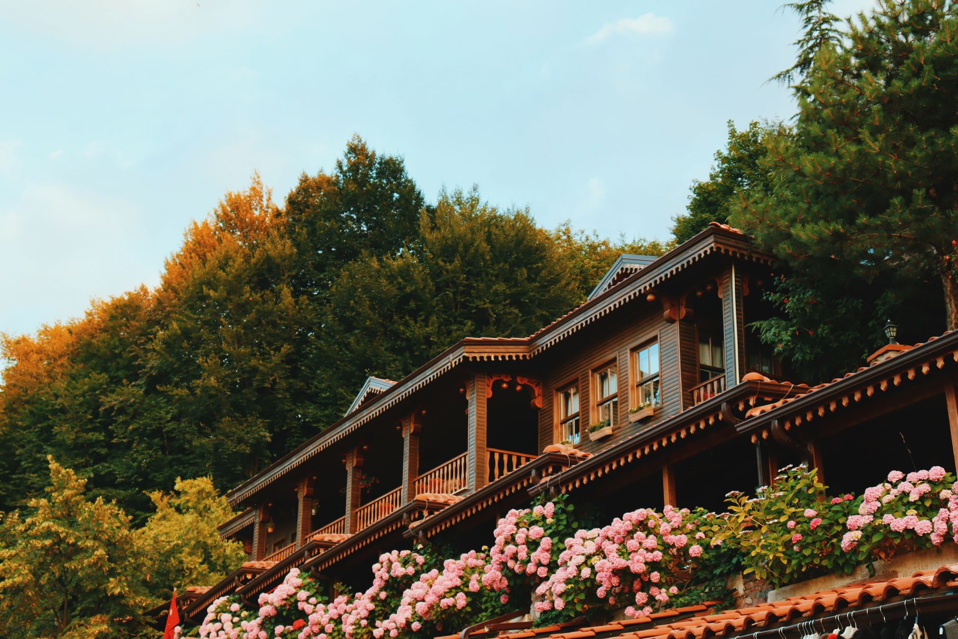 A beautiful wooden building adorned with pink flowers, nestled among lush green trees, creating a tranquil recovery environment.
