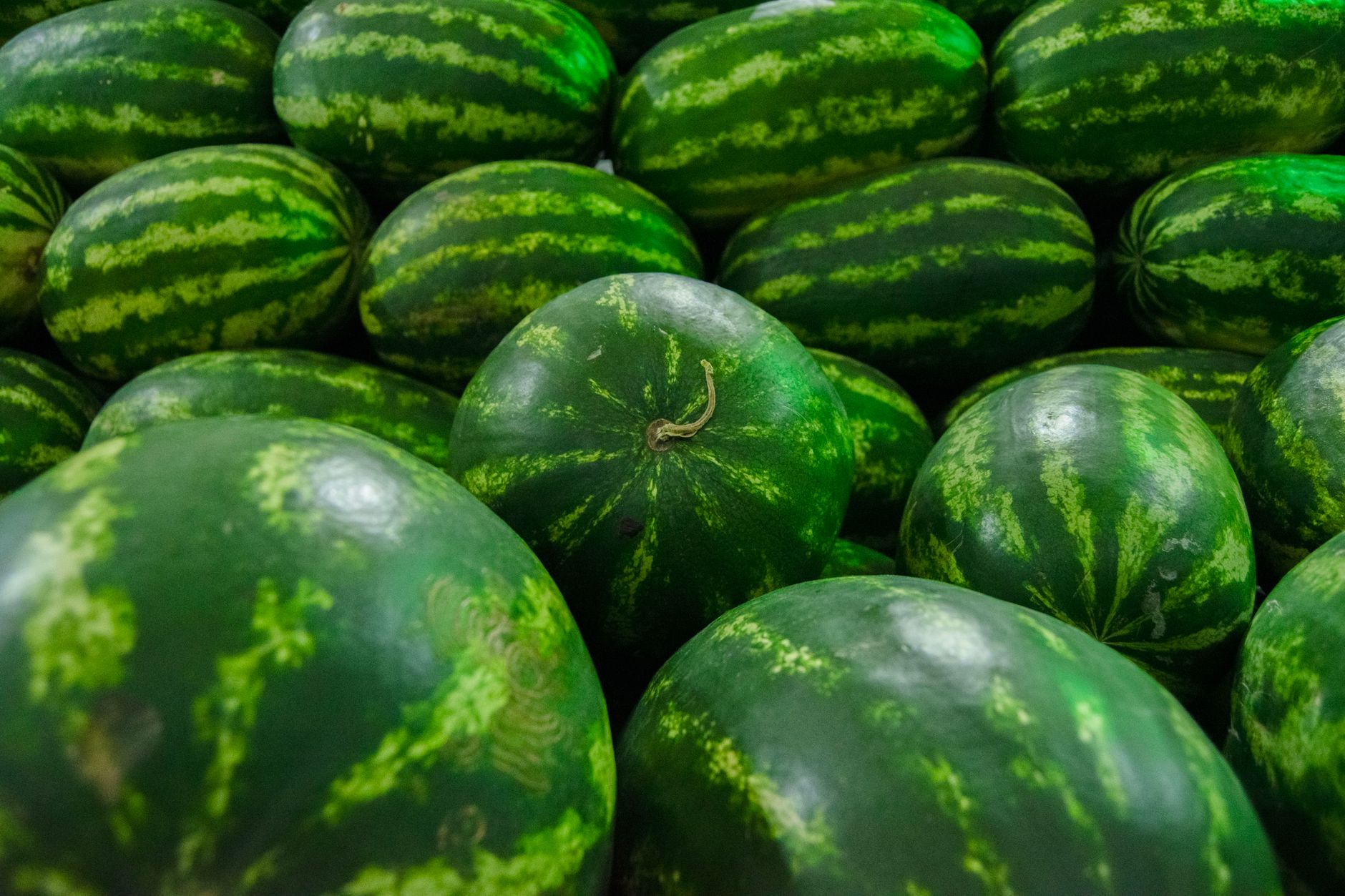 A vibrant display of fresh watermelons with green stripes in a local market.