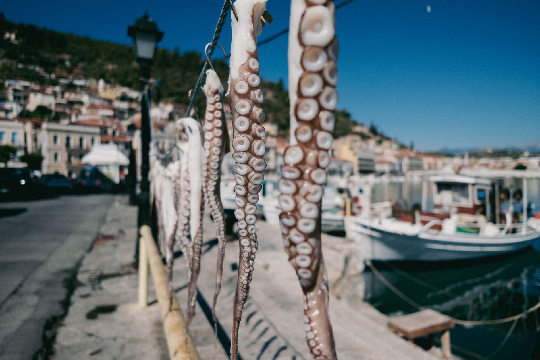 Dried octopus hanging in Eceabat by the waterfront, with boats in the background.