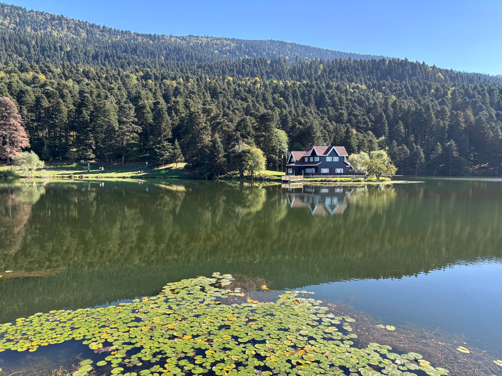 Tranquil Lake Kovada reflects the pine forest and a charming house nearby.