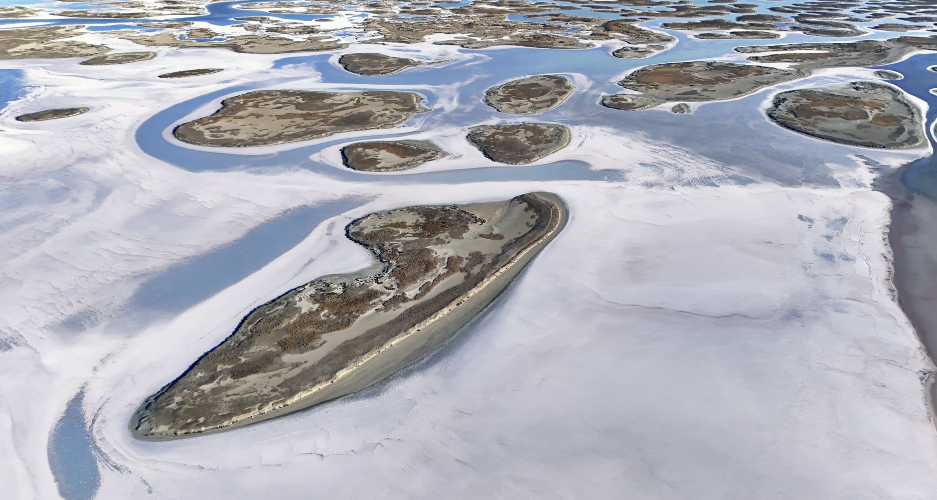 Wide aerial view of intricate lagoons and mudflats in a wetland ecosystem.