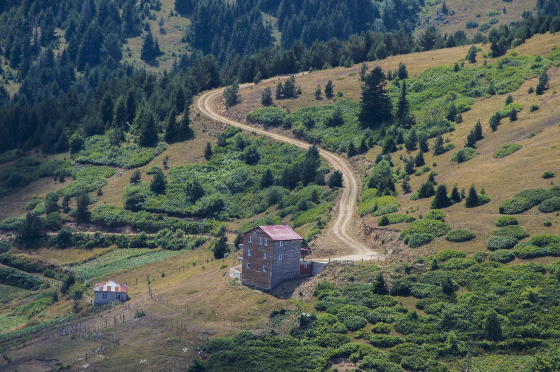 一条蜿蜒的土路穿过茂密的绿植，通向山间风景中的两栋房屋。