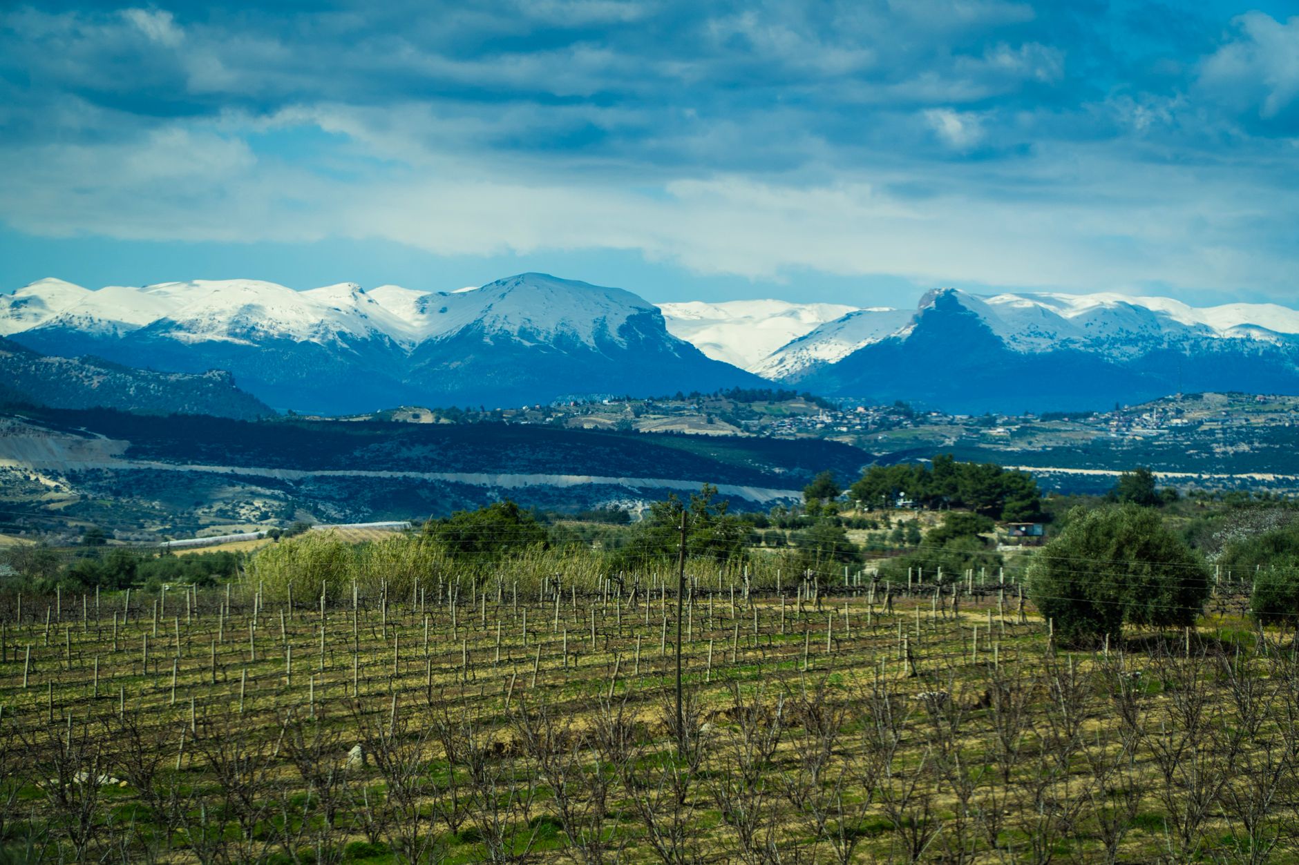 A tranquil Aegean landscape featuring vineyards with snow-covered mountains in the background, showcasing serene nature.