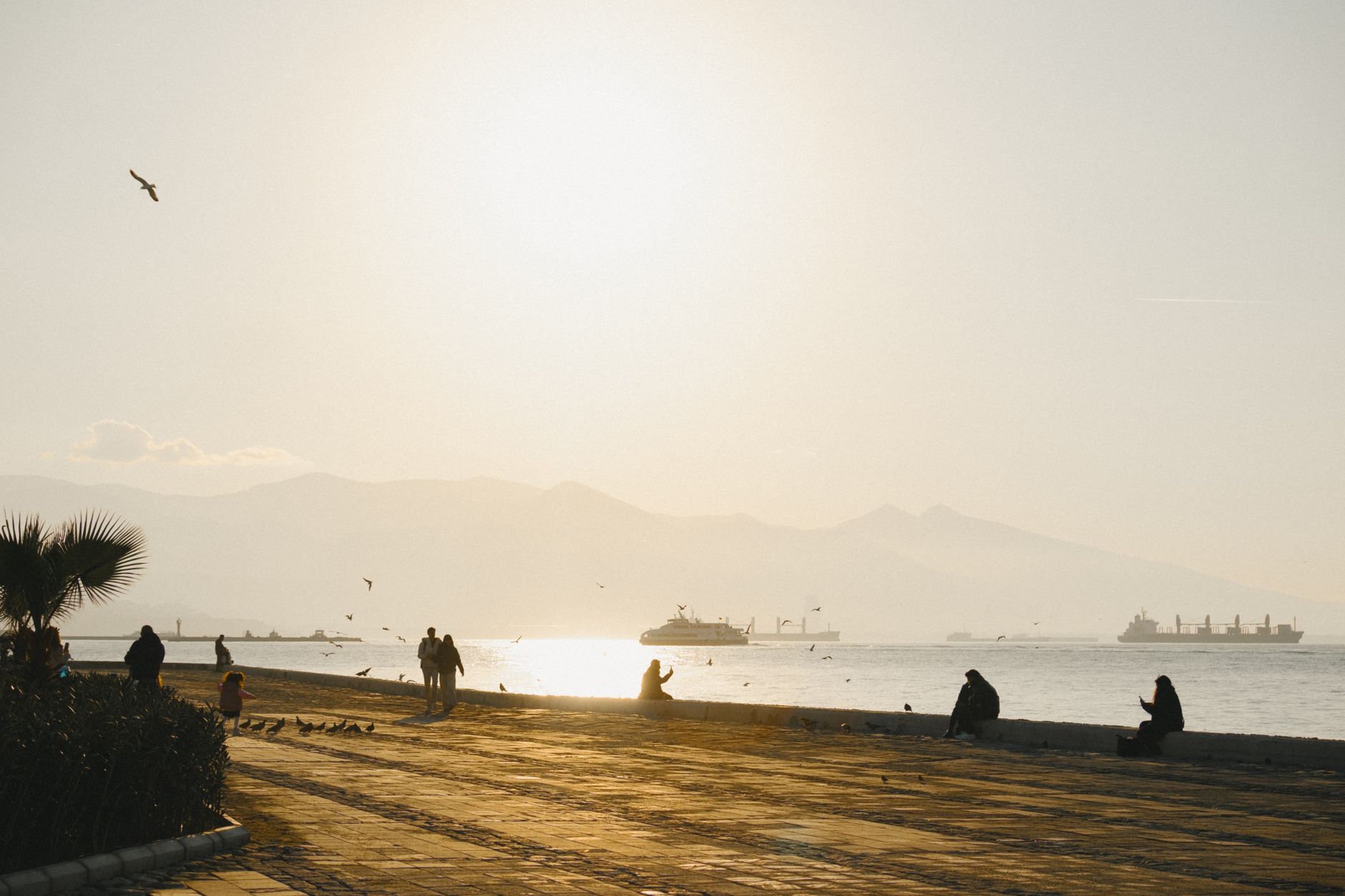 Patients relaxing by the seaside in Izmir, enjoying the sunset and calm atmosphere.