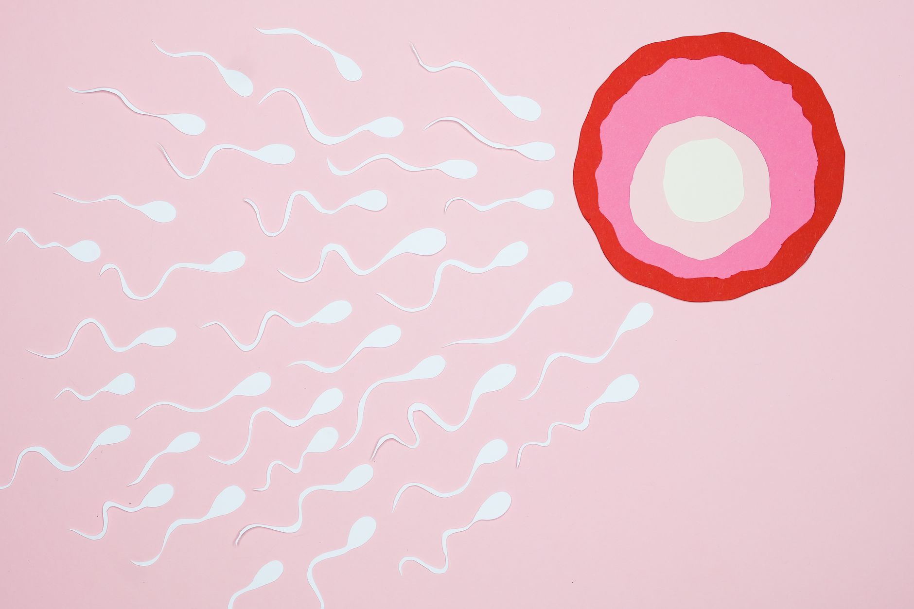 Artistic representation of sperm swimming towards an egg on a pink background.