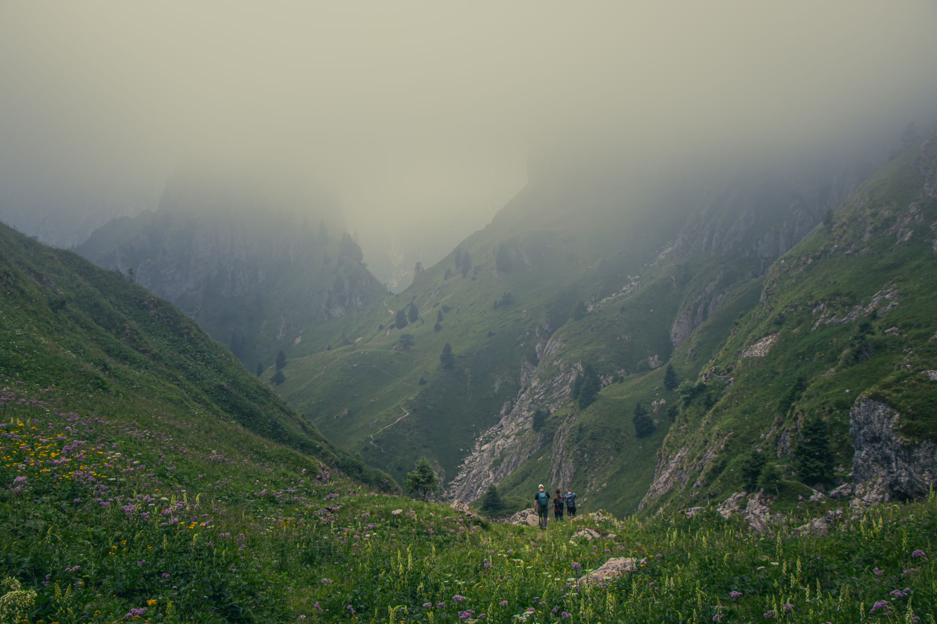 Two hikers navigating a narrow trail amidst lush green meadows and misty mountain peaks.