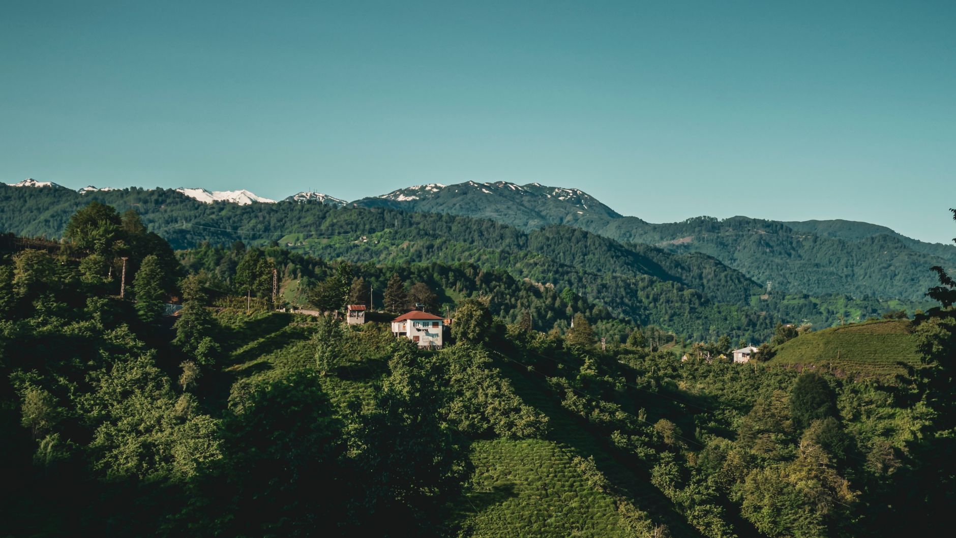 A picturesque view of a mountain tea garden with houses and greenery under a clear blue sky.