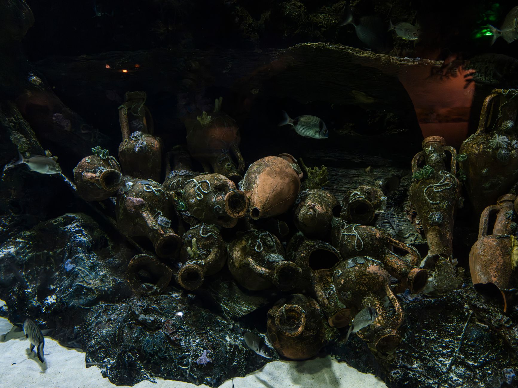 Clear underwater scene showcasing ancient amphorae among aquatic life.