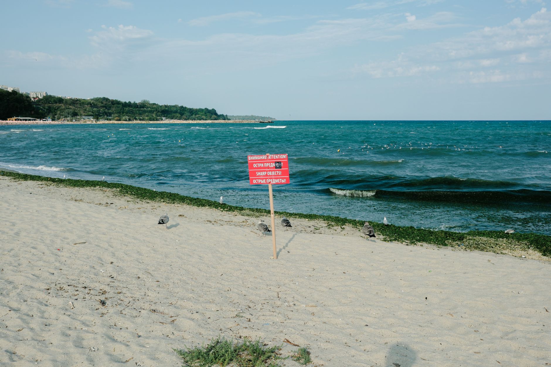 A beach near Cide with a warning sign about sharp objects on the sand.