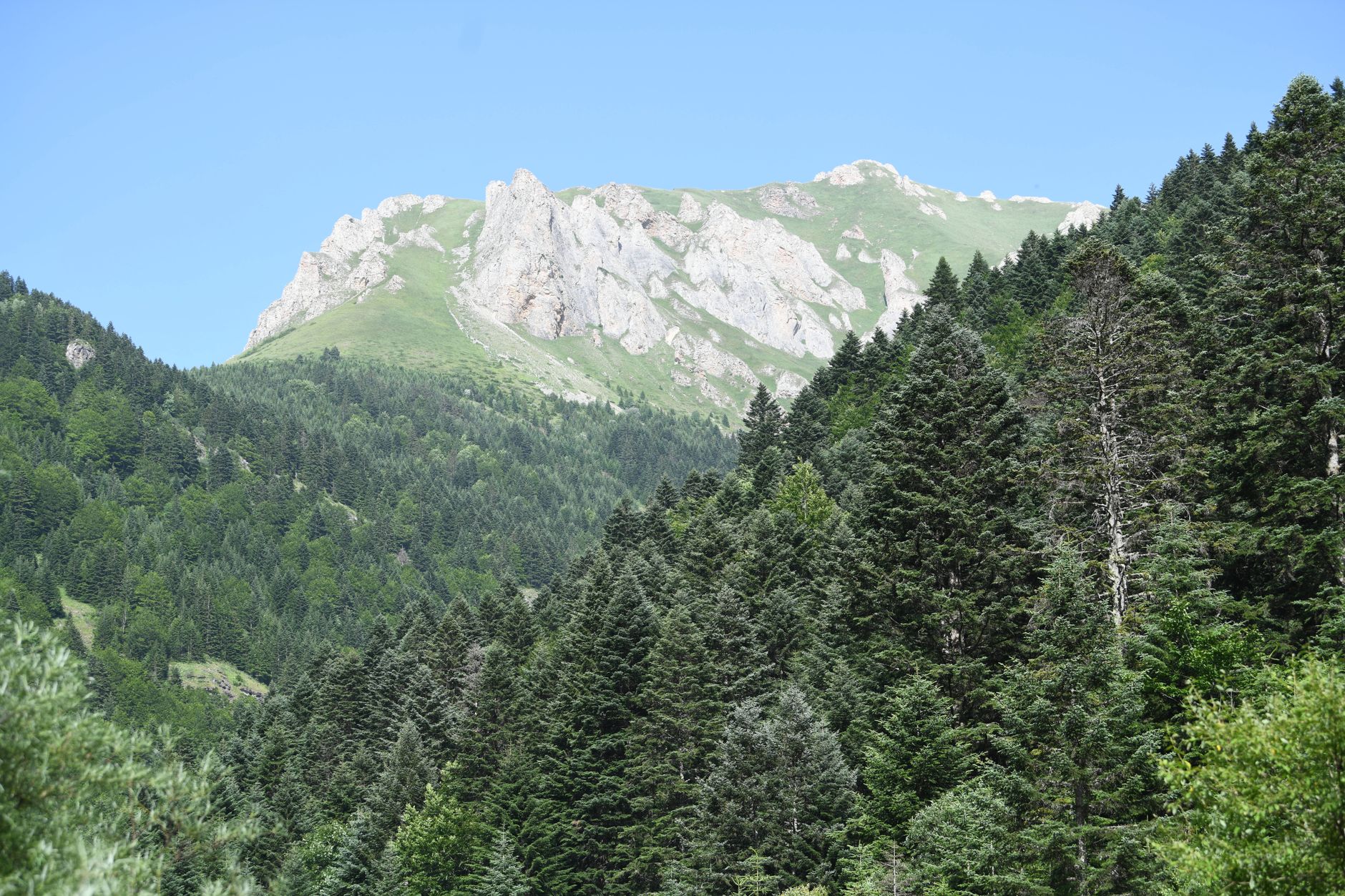 Stunning landscape of lush forests and rocky peaks in Ilgaz National Park, Turkey.