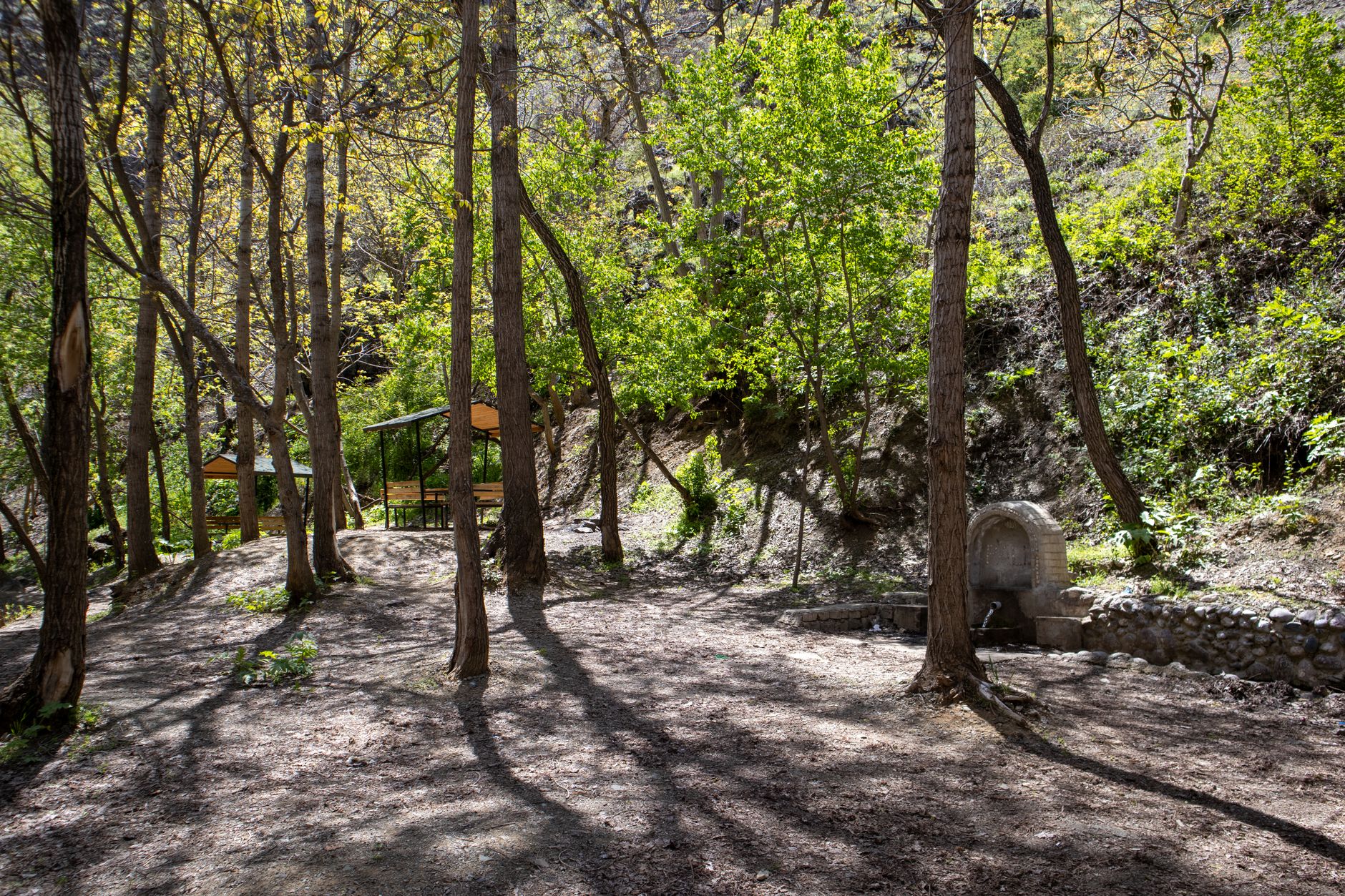 Wooden picnic tables and benches under trees, in a shaded area near a water source.