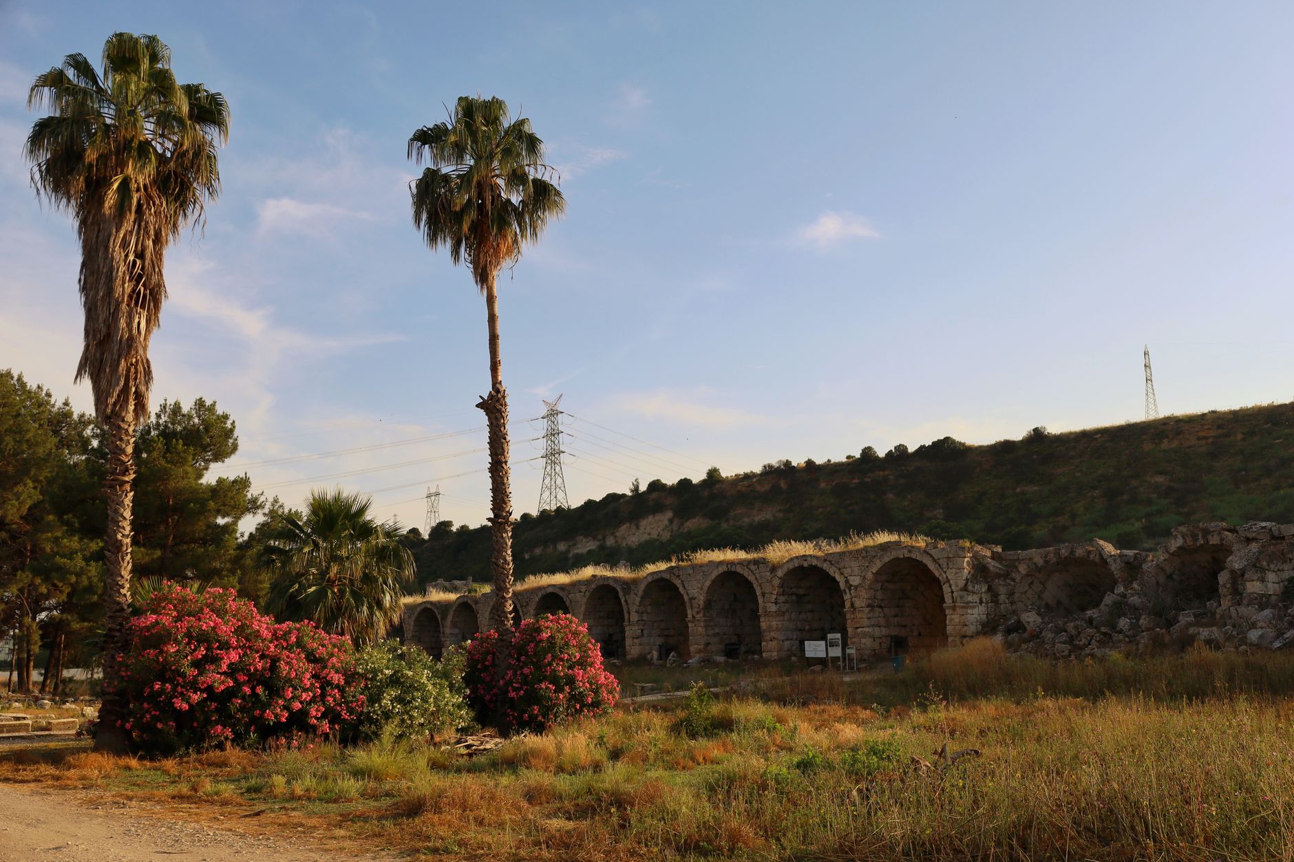 Palm trees and an ancient aqueduct amid lush greenery during sunset.