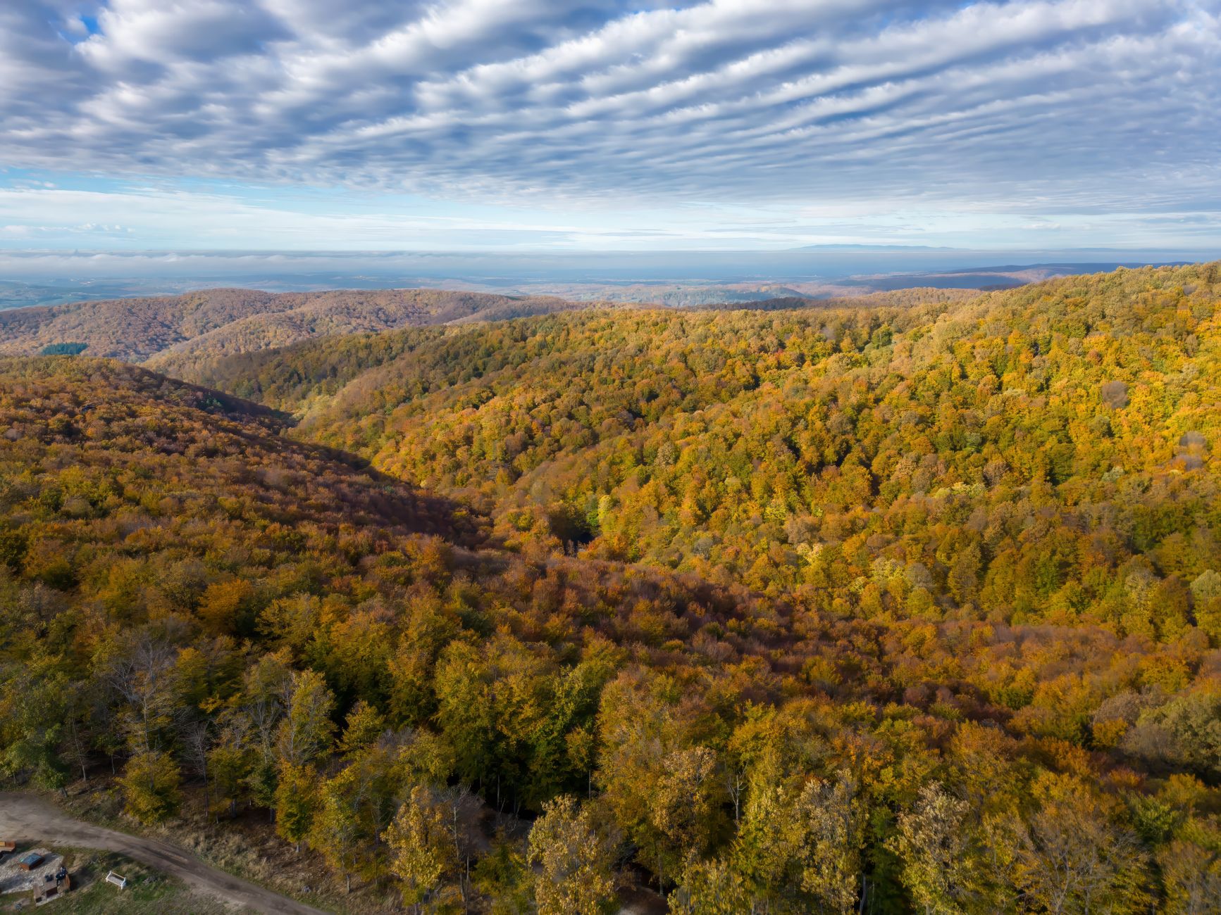 Aerial view of vibrant autumn foliage across rolling hills under a cloudy sky.