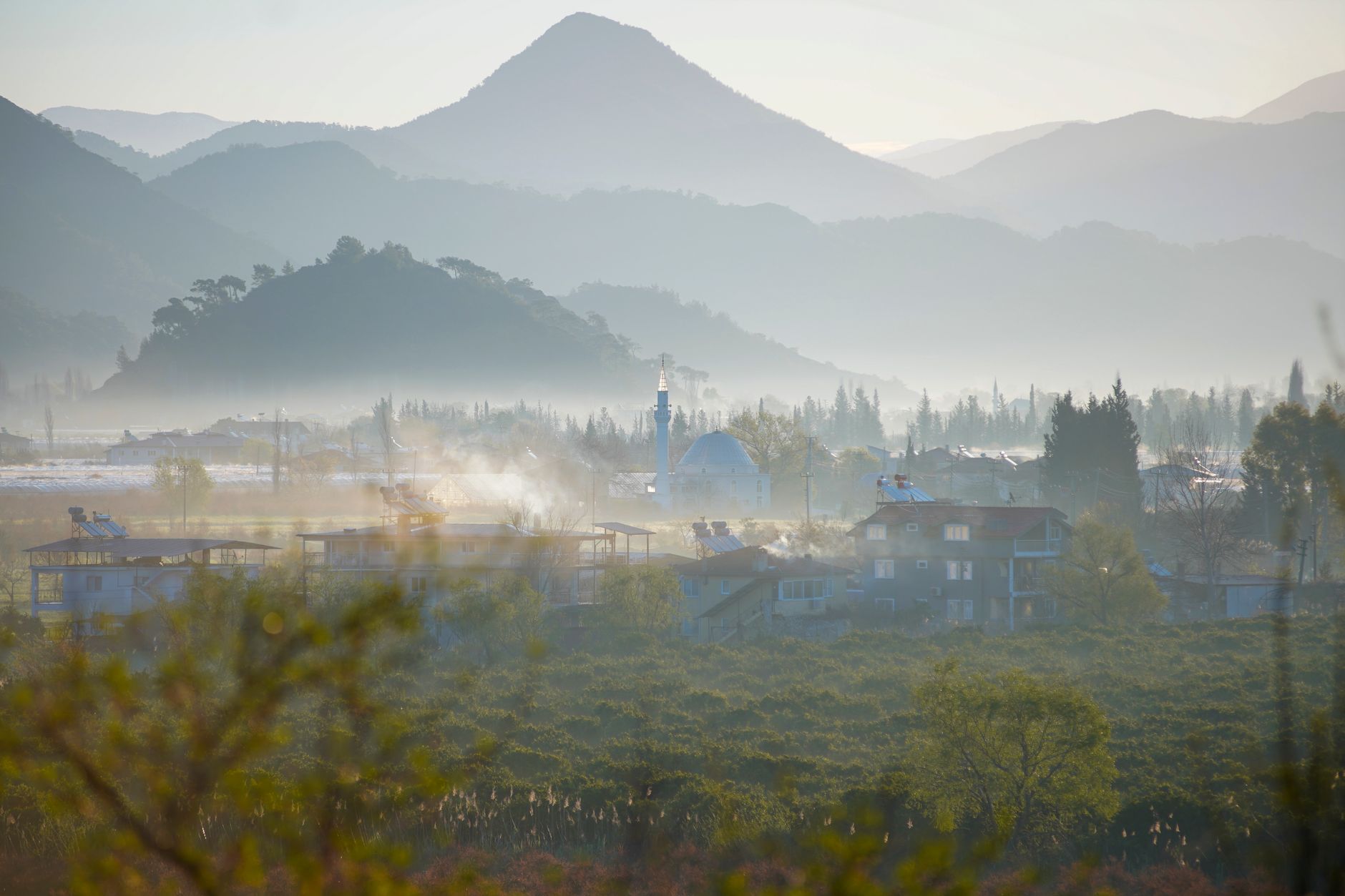 A serene view of a village guesthouse near a wetland, surrounded by misty mountains.