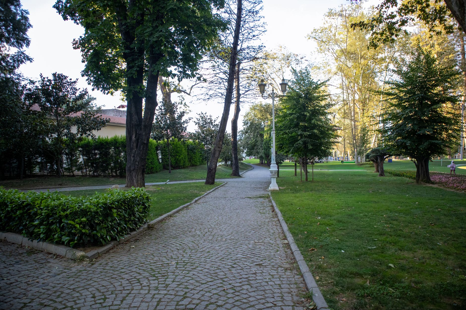 A serene cobblestone path winding through a green park with trees and soft grass.