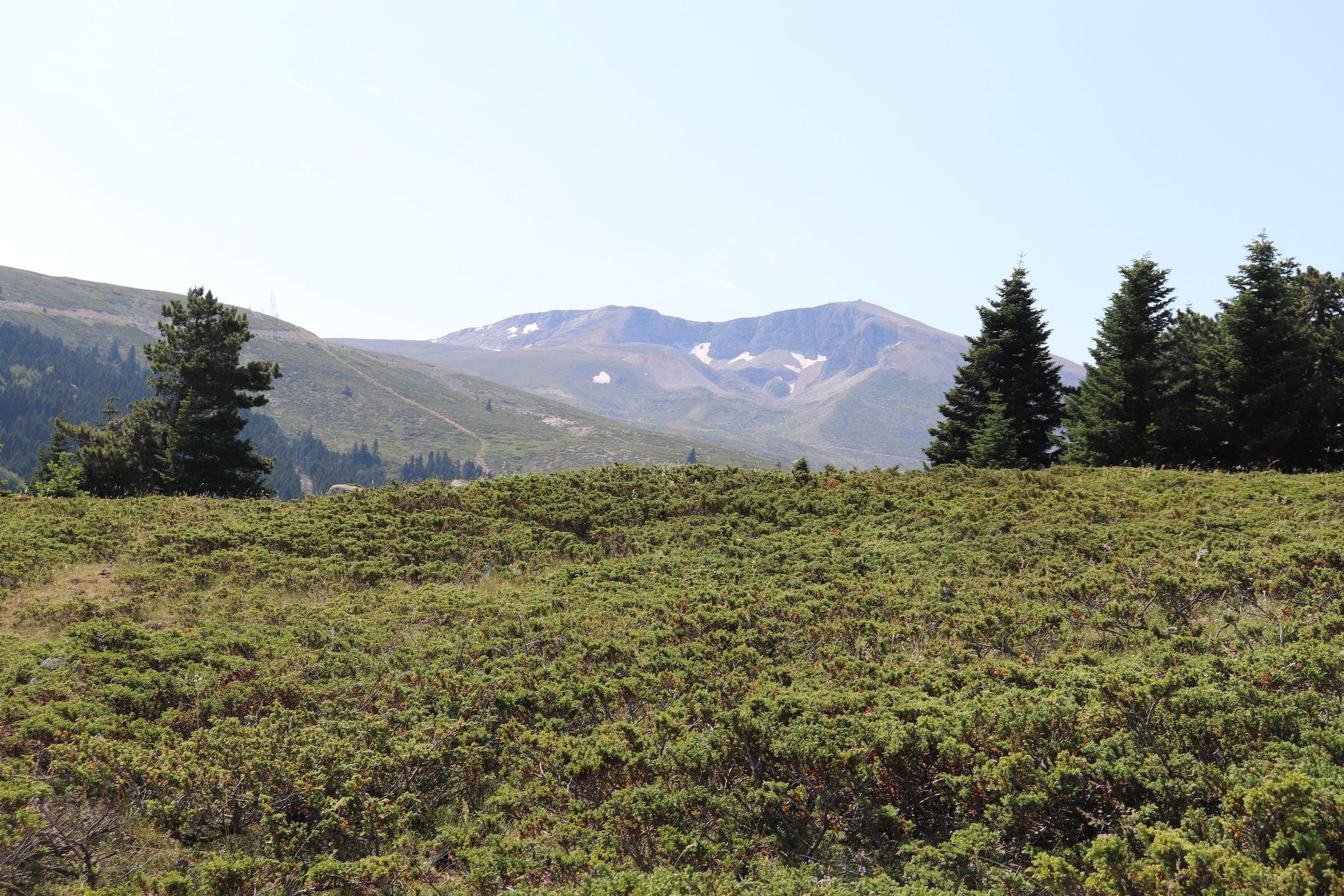 Beautiful mountain view surrounded by lush greenery, offering a calm and peaceful atmosphere.