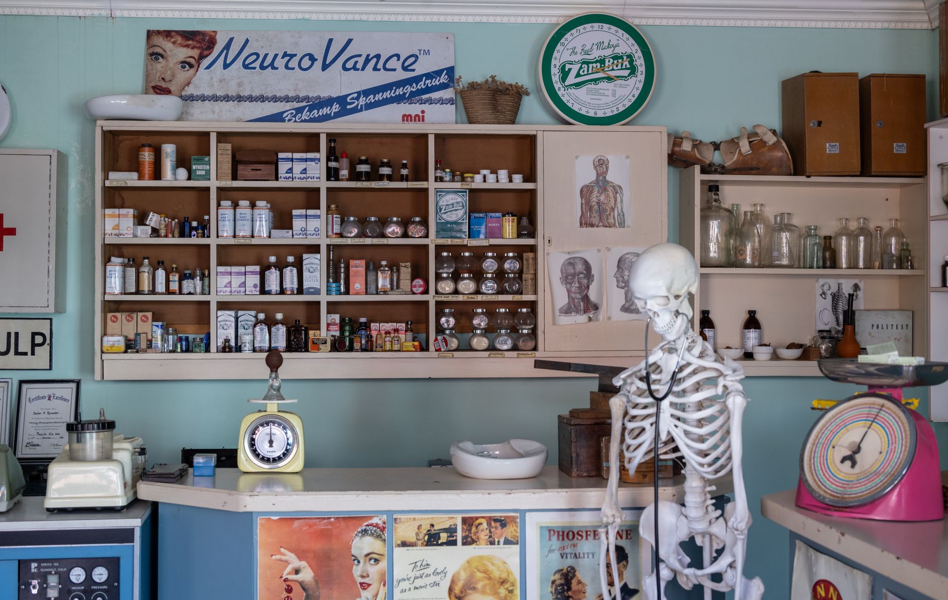 A vintage pharmacy with shelves full of medication bottles and a skeleton model.