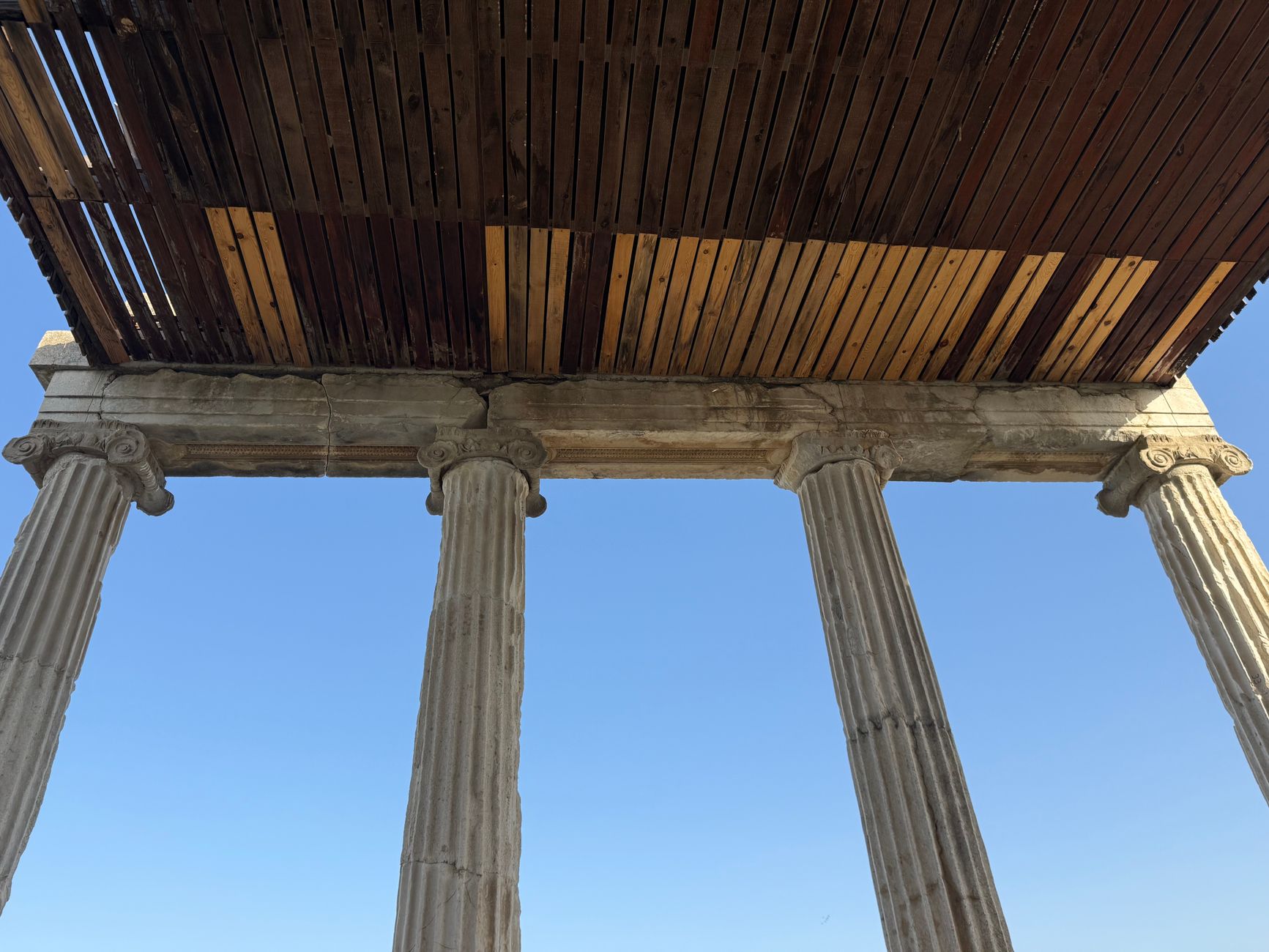 View of the reconstructed columns of the Temple of Athena in Priene under a wooden roof.