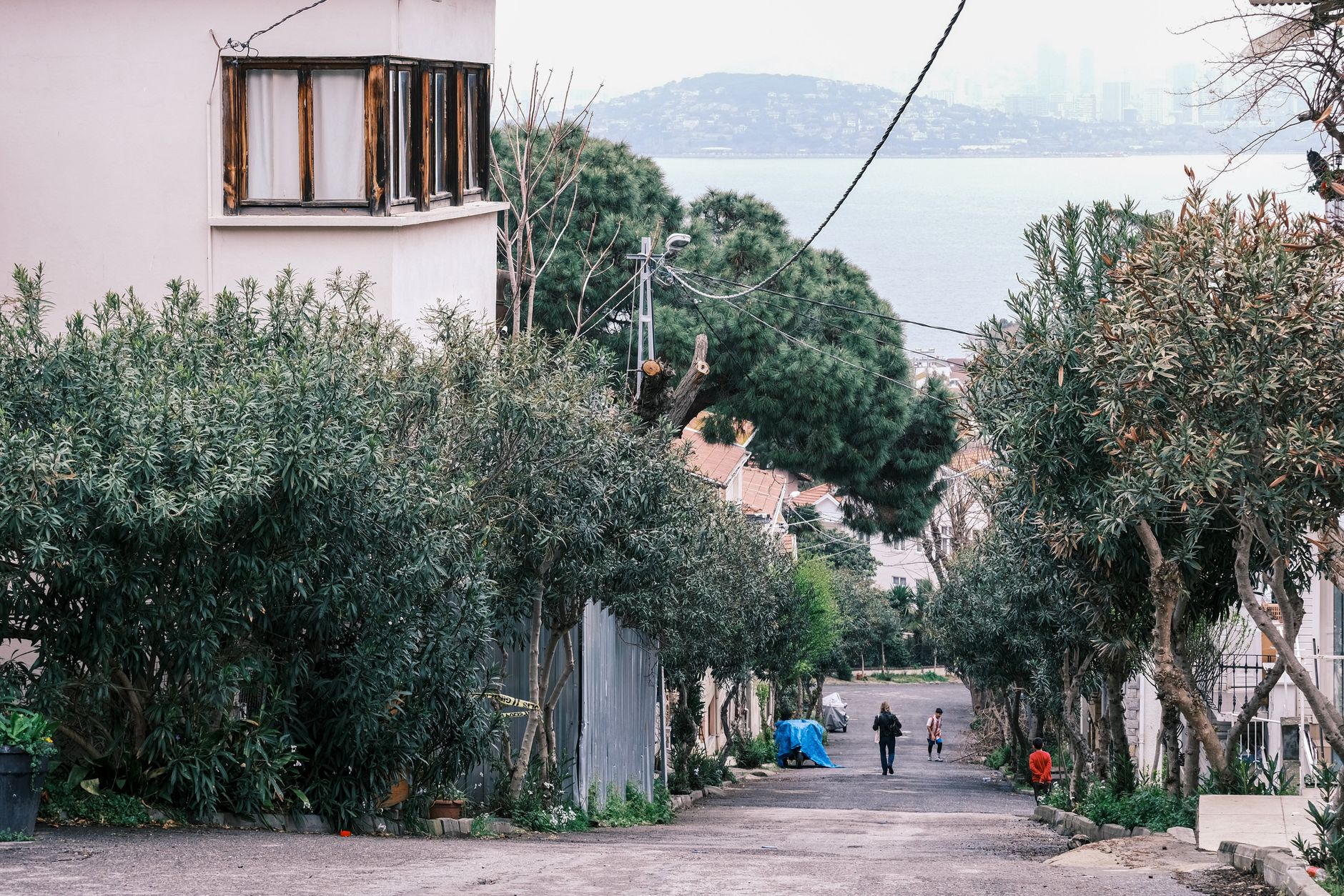 A serene, car-free street in Istanbul lined with trees and a view of the sea.