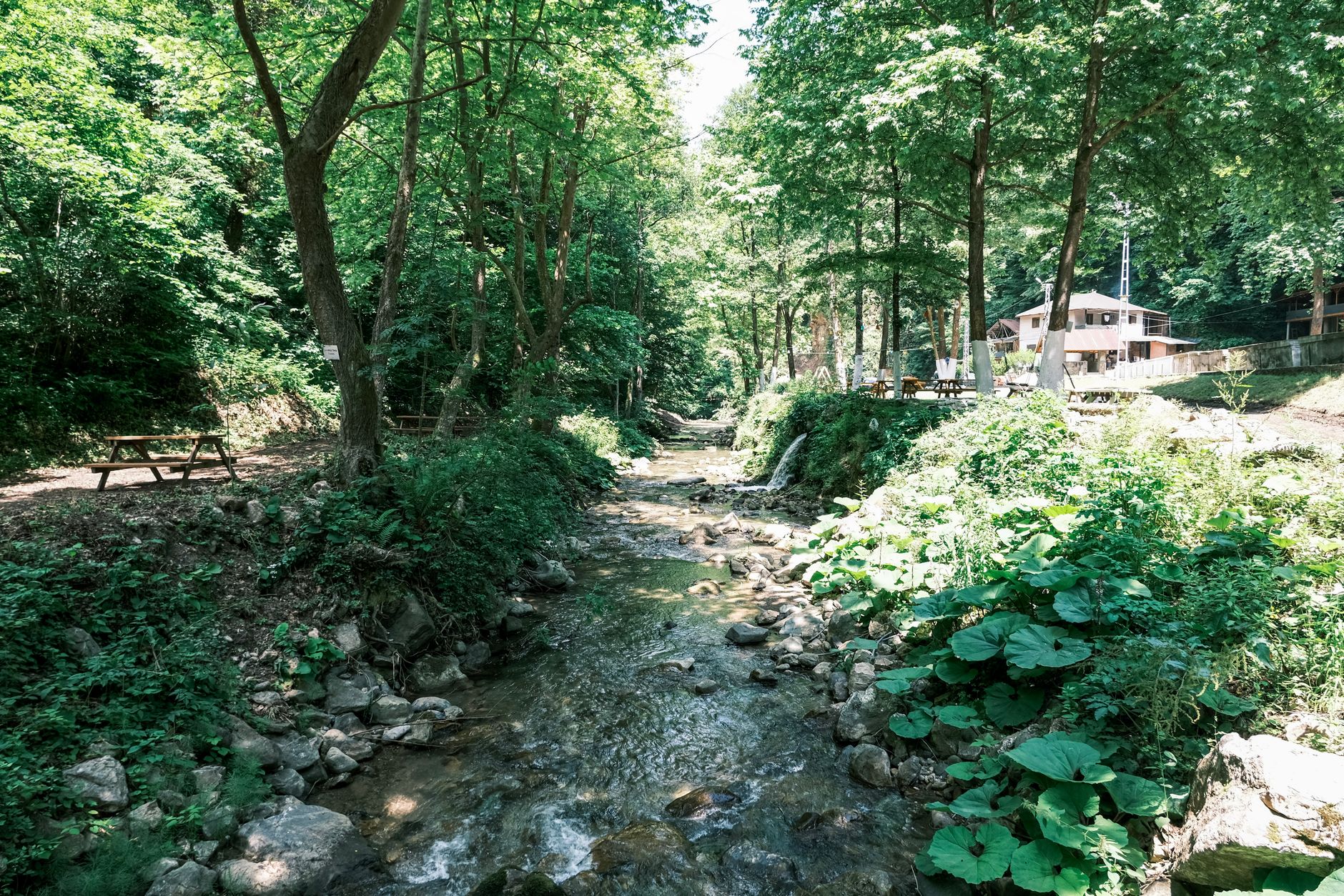 نمایی دیدنی از نهر مرام با سبزه‌زار و یک چای‌خانه در نزدیکی.