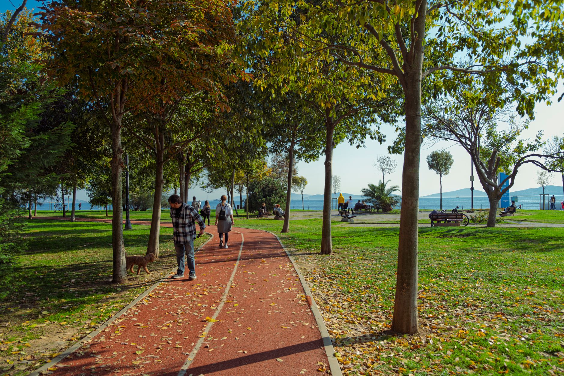 A man strolls through a vibrant park in Istanbul, surrounded by trees and walking paths.