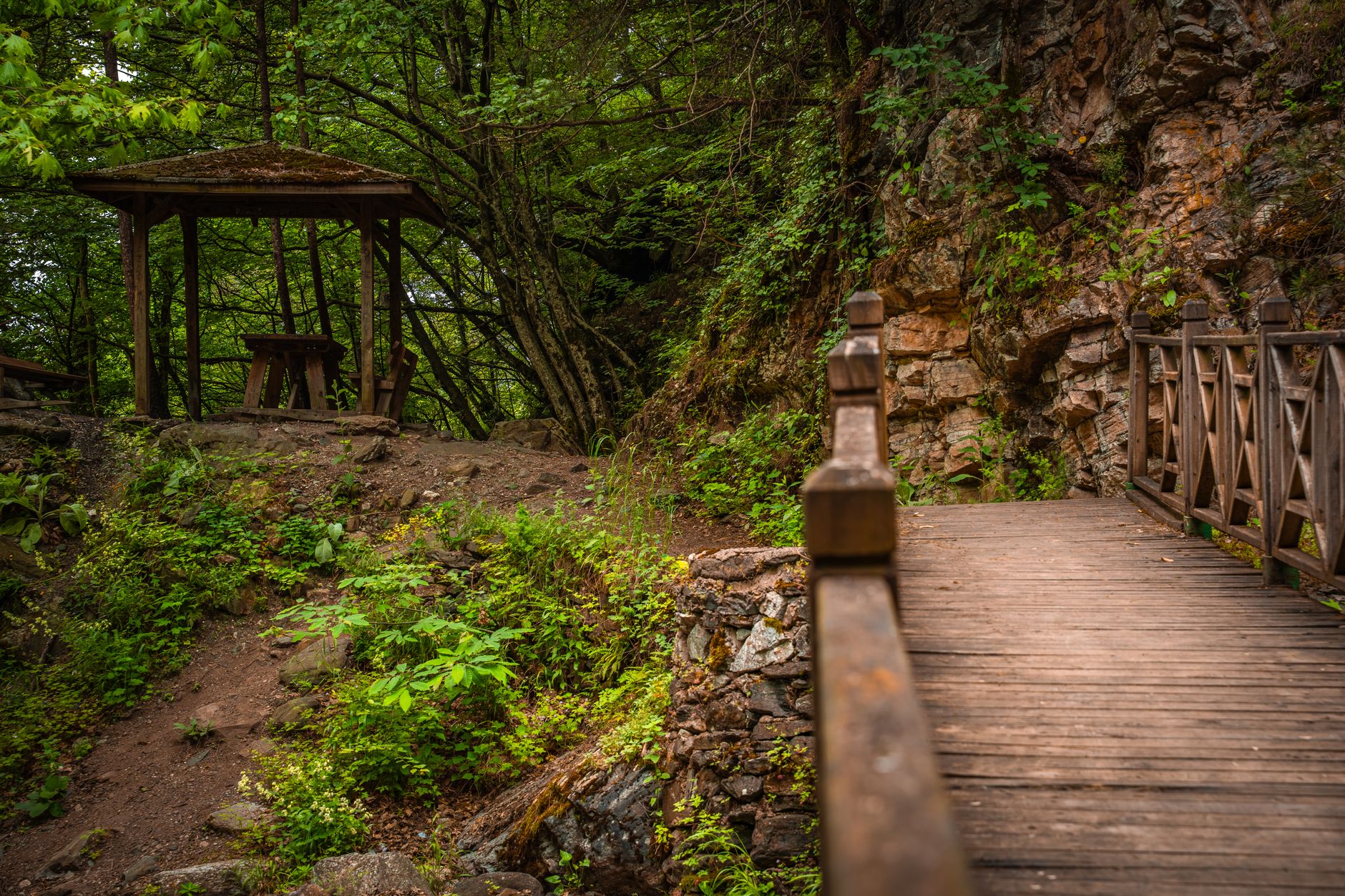 Wooden bridge leading through a lush green path in Bursa's Kültürpark.