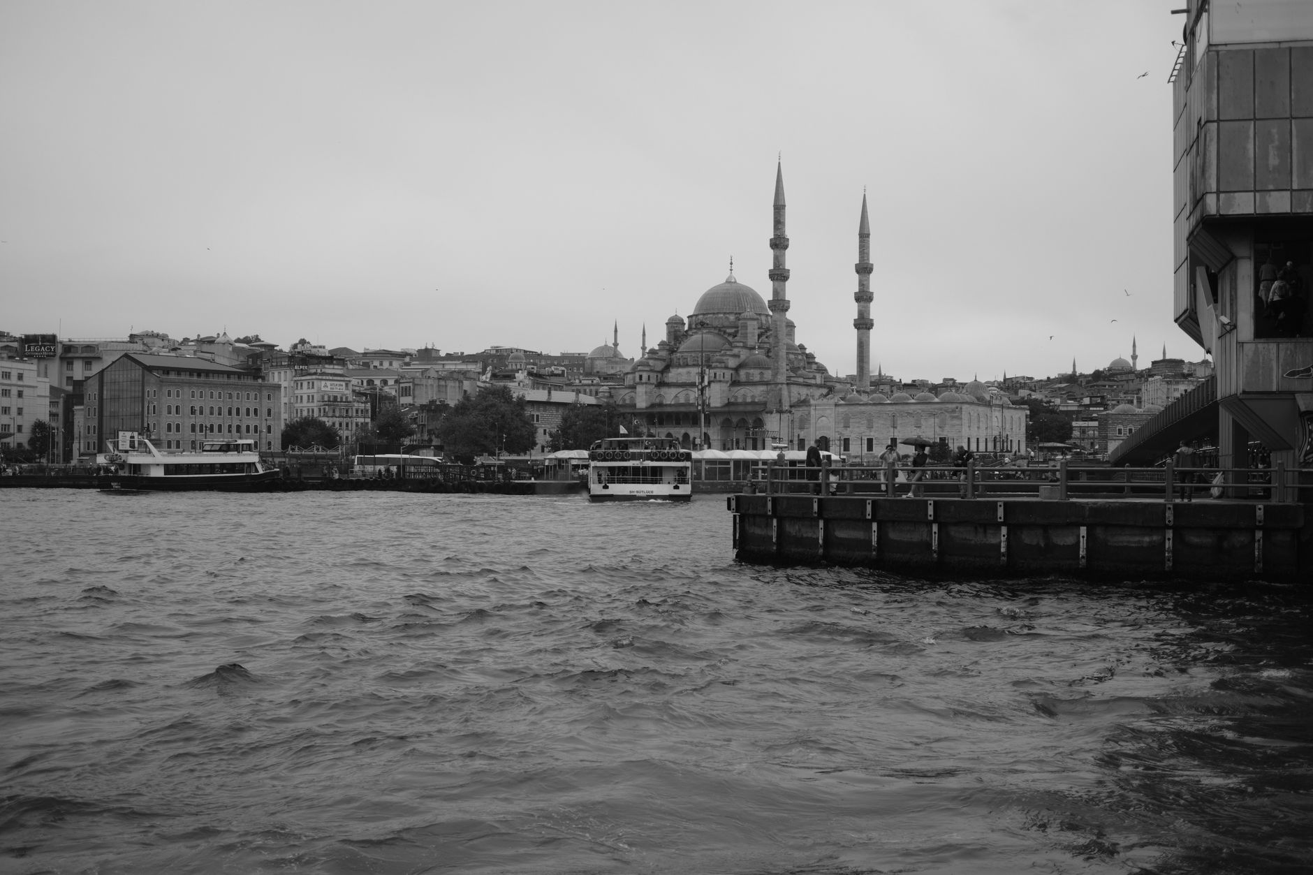 A serene view of Istanbul featuring a mosque and waterfront, captured in black and white.