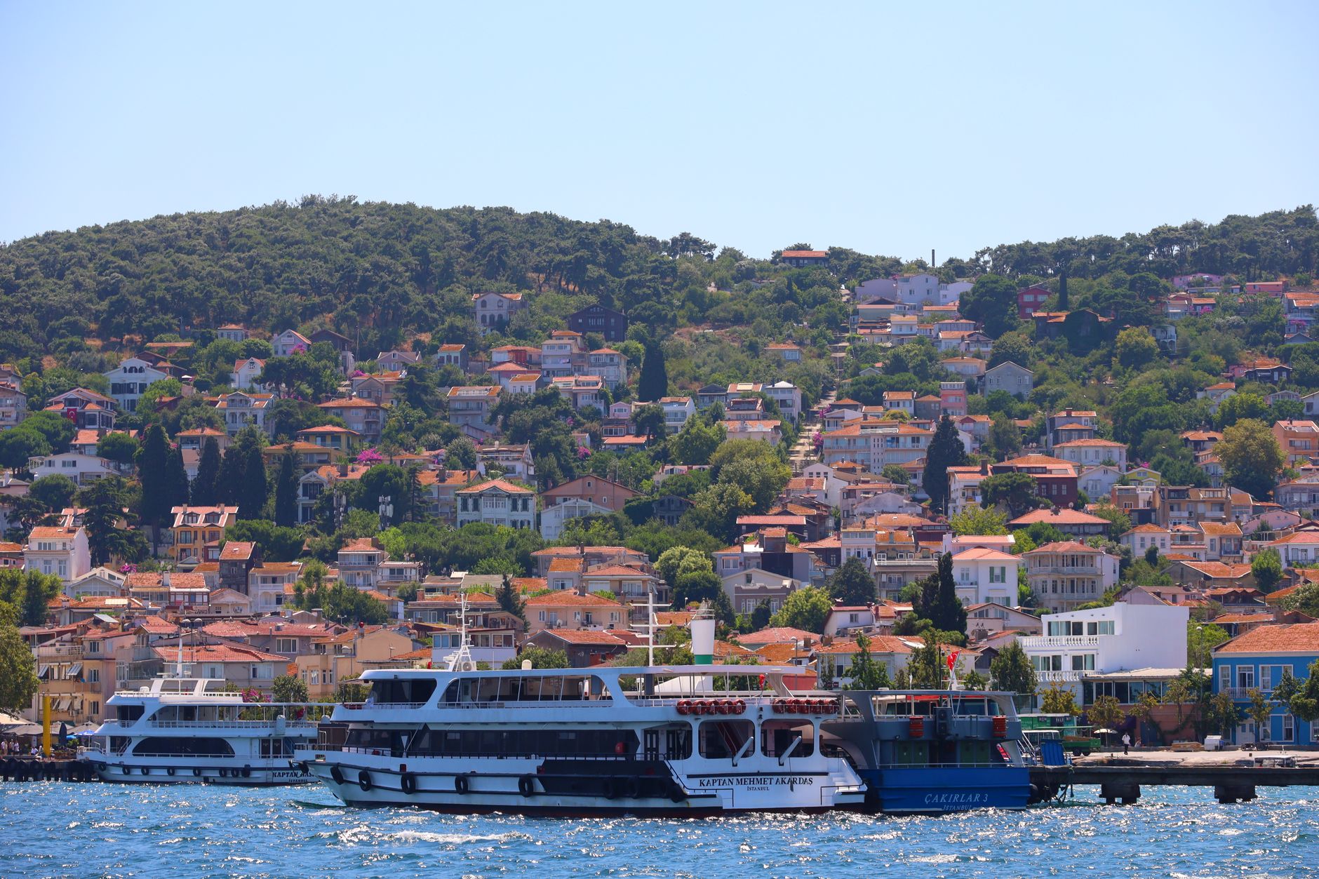 A ferry approaches Büyükada, showcasing lush pine trees and colorful wooden mansions along the shoreline.