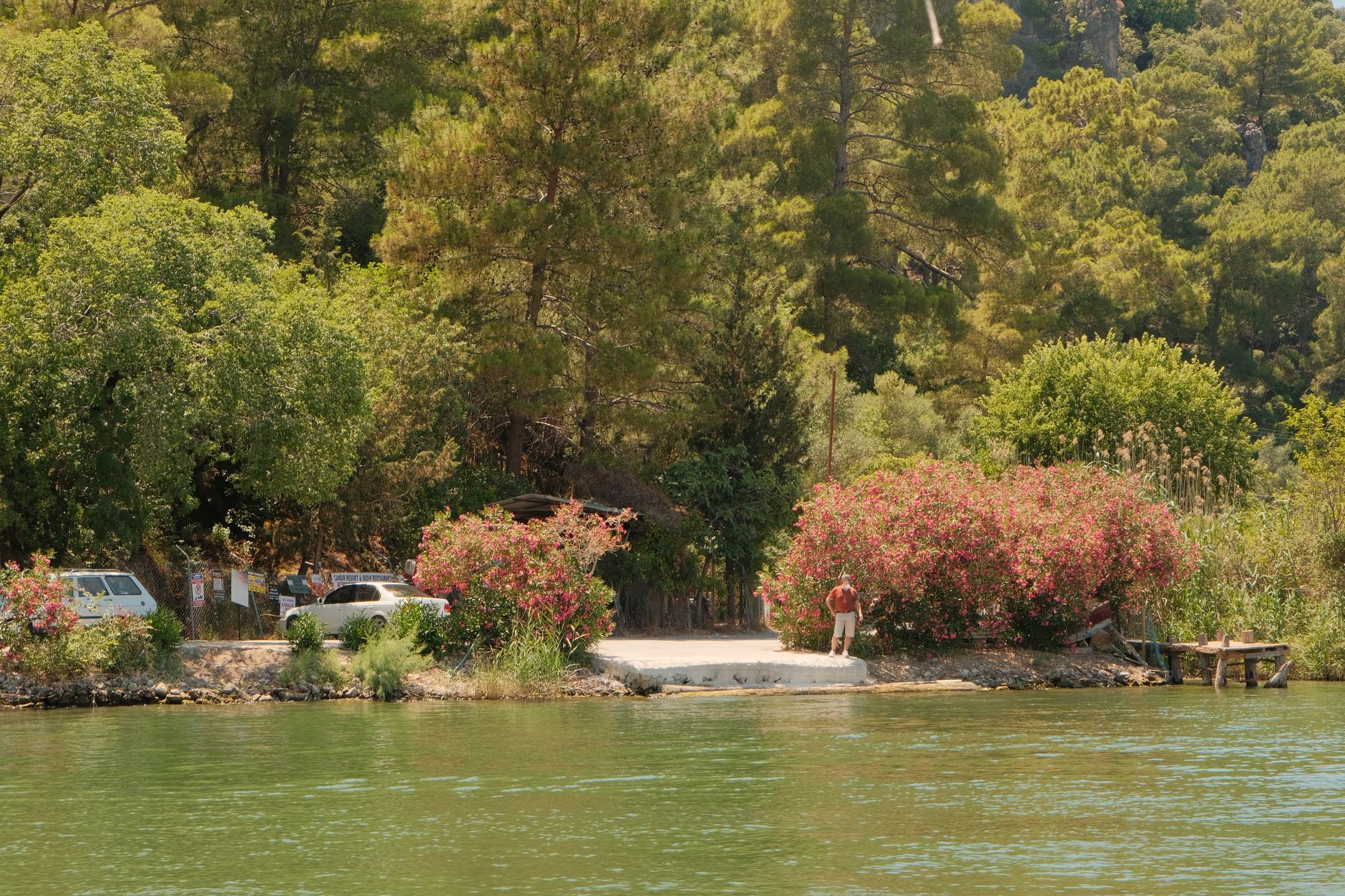 Quiet beach in Dalaman region, surrounded by blooming flowers and pine trees.