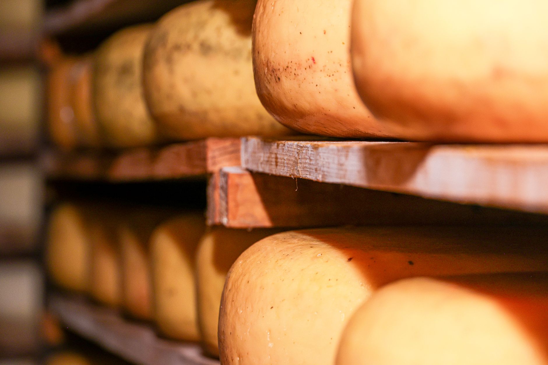Rows of golden kaşar cheese wheels aging in a cool stone cellar.
