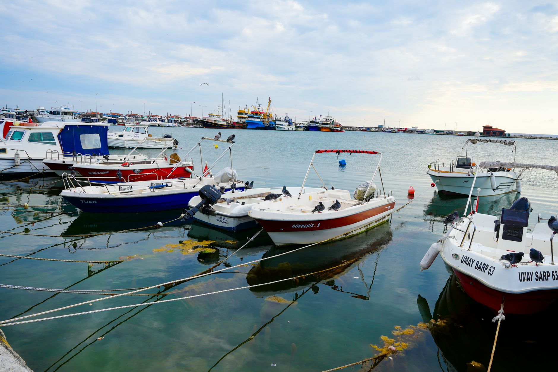 Harbour at Bozcaada Island featuring various boats, reflecting the serene waters.