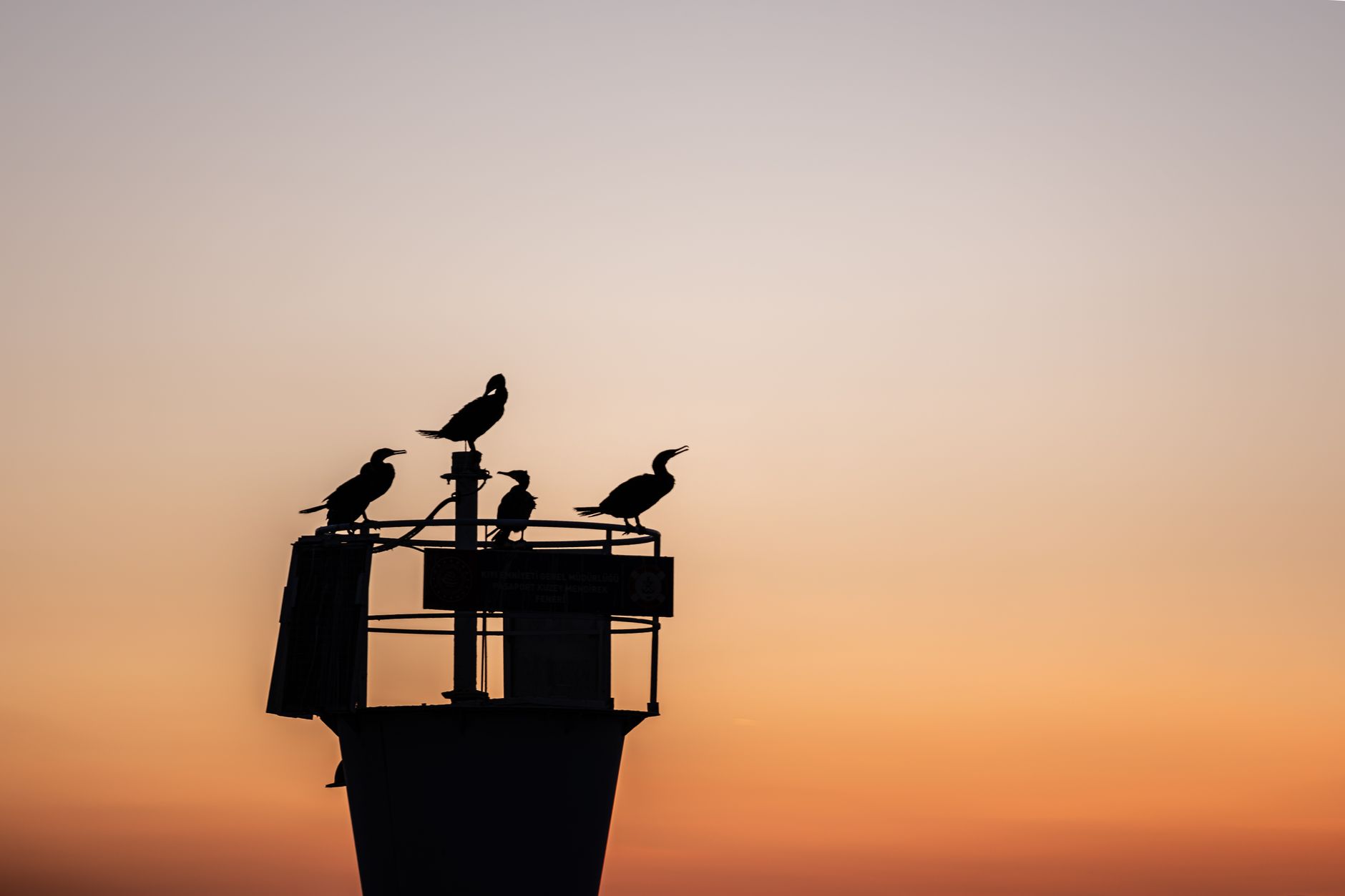 Silhouetted birds perched on a tower against a colorful sunset sky.