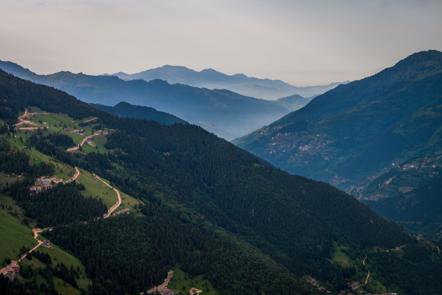 东黑海地区郁郁葱葱的绿色山脉和蜿蜒道路的鸟瞰图。