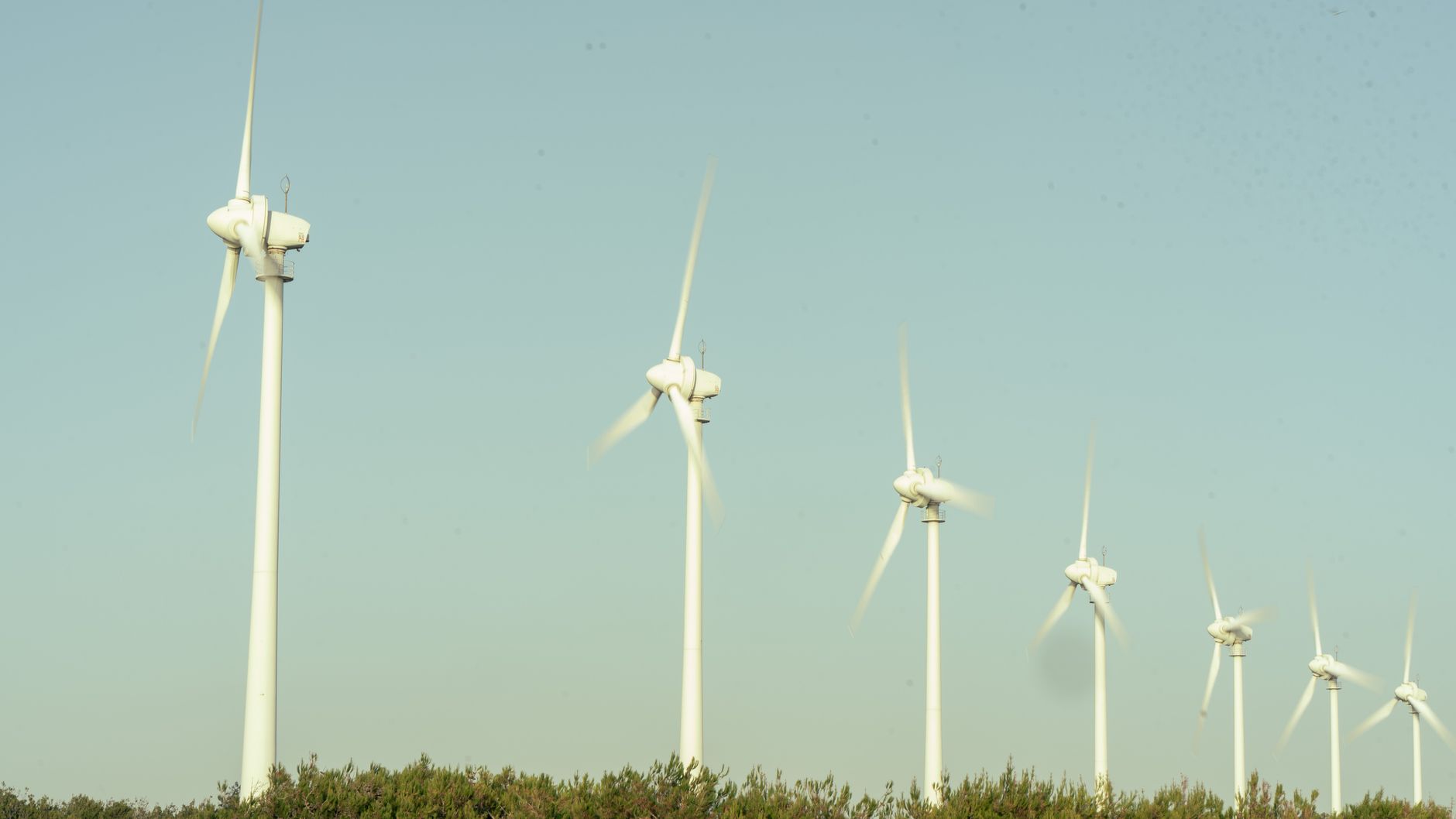 Row of wind turbines against a clear sky, near vineyards on Bozcaada.