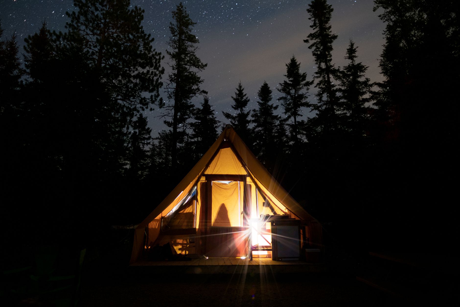 Illuminated safari tent at night surrounded by tall trees and stars.