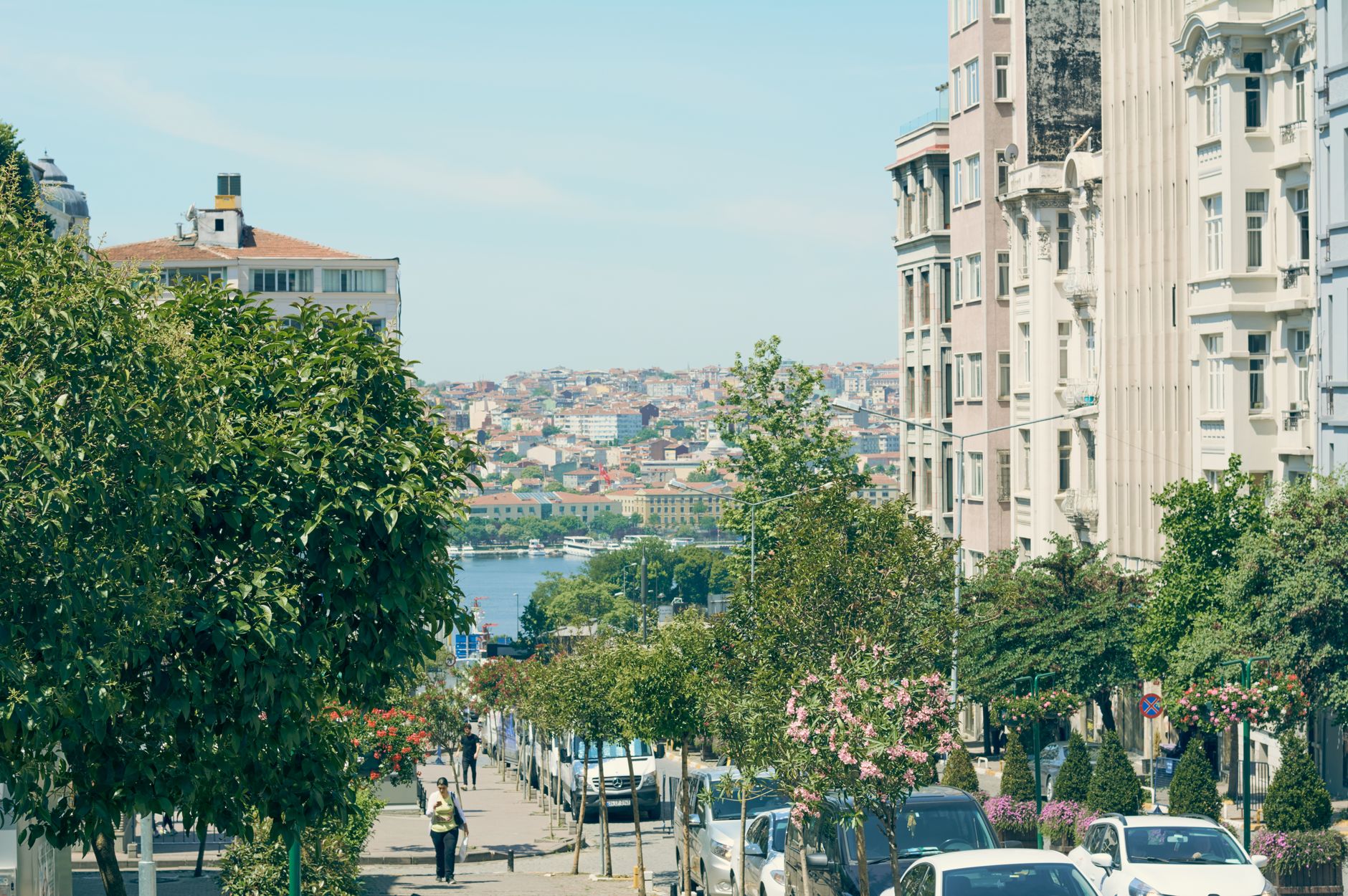 A tranquil street view in Istanbul, lined with trees and flowers, overlooking the Bosphorus.