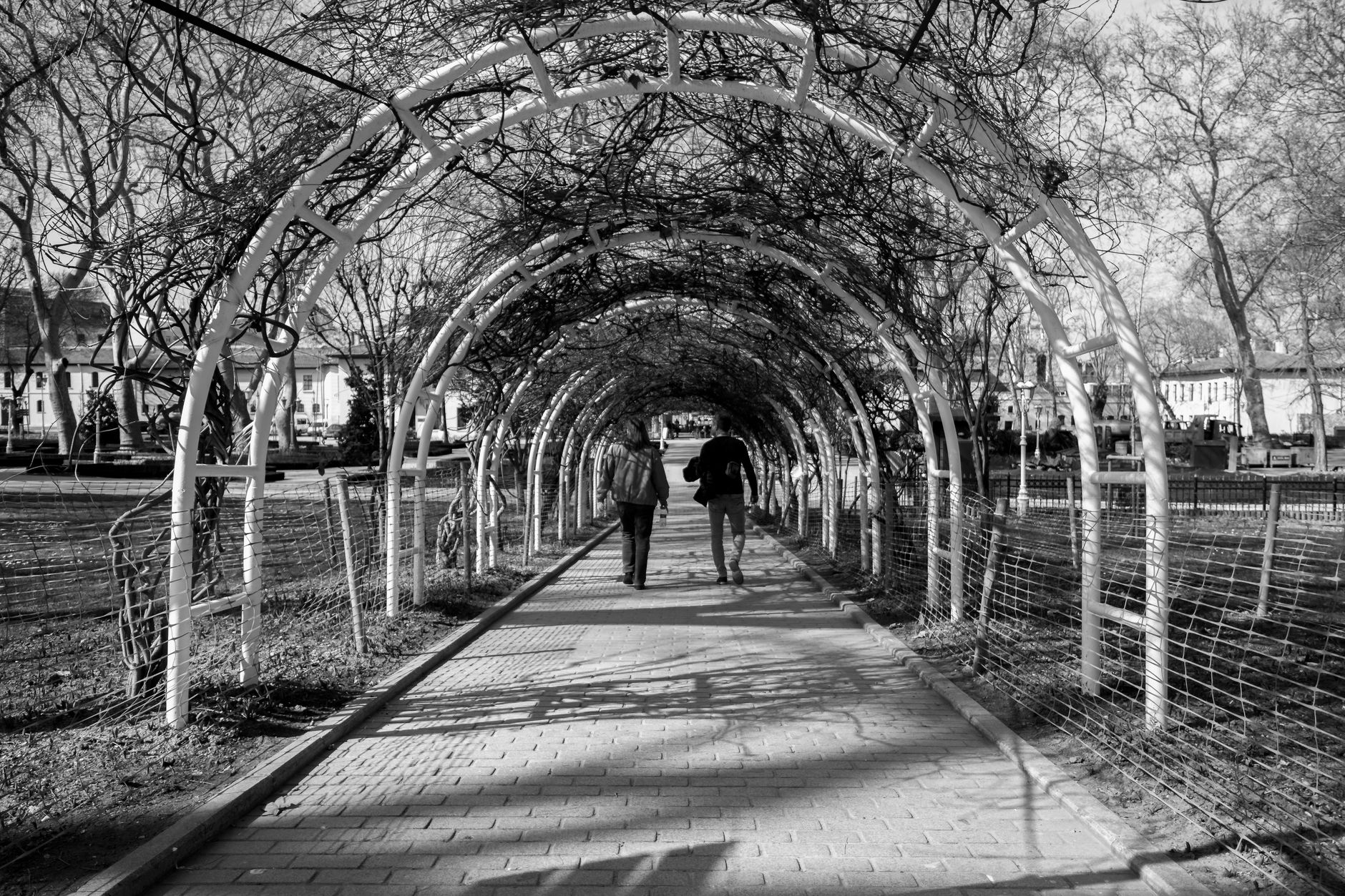 A couple strolls hand-in-hand through a vine-covered archway in a serene park.